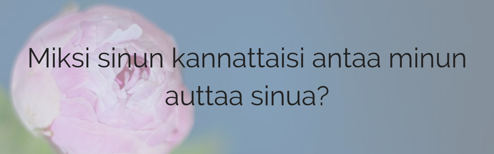 palaudu7.png