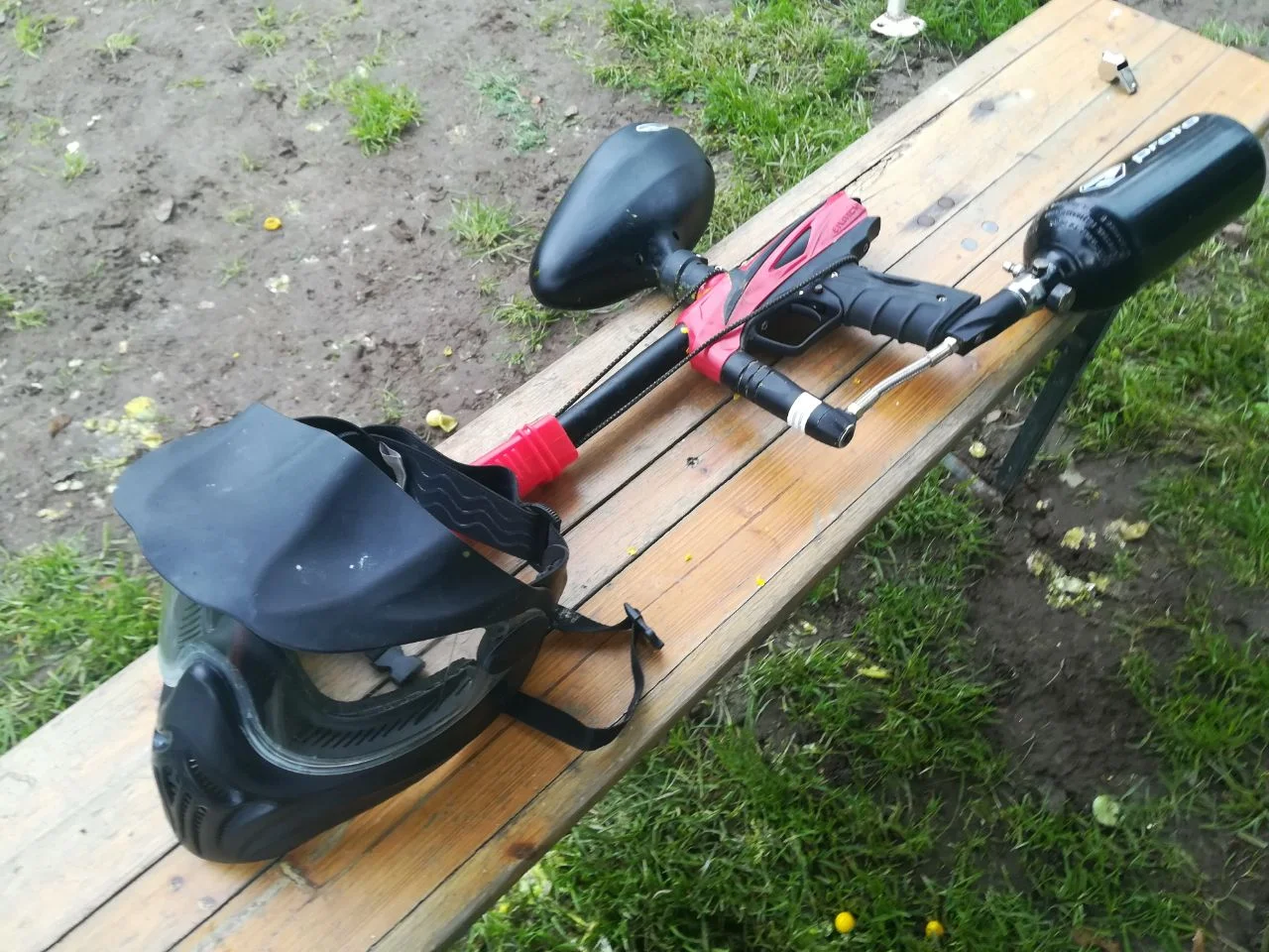 glückskastanie bestellen Glückskastanie kaufen – Mein schöner Garten Shop main image 0
