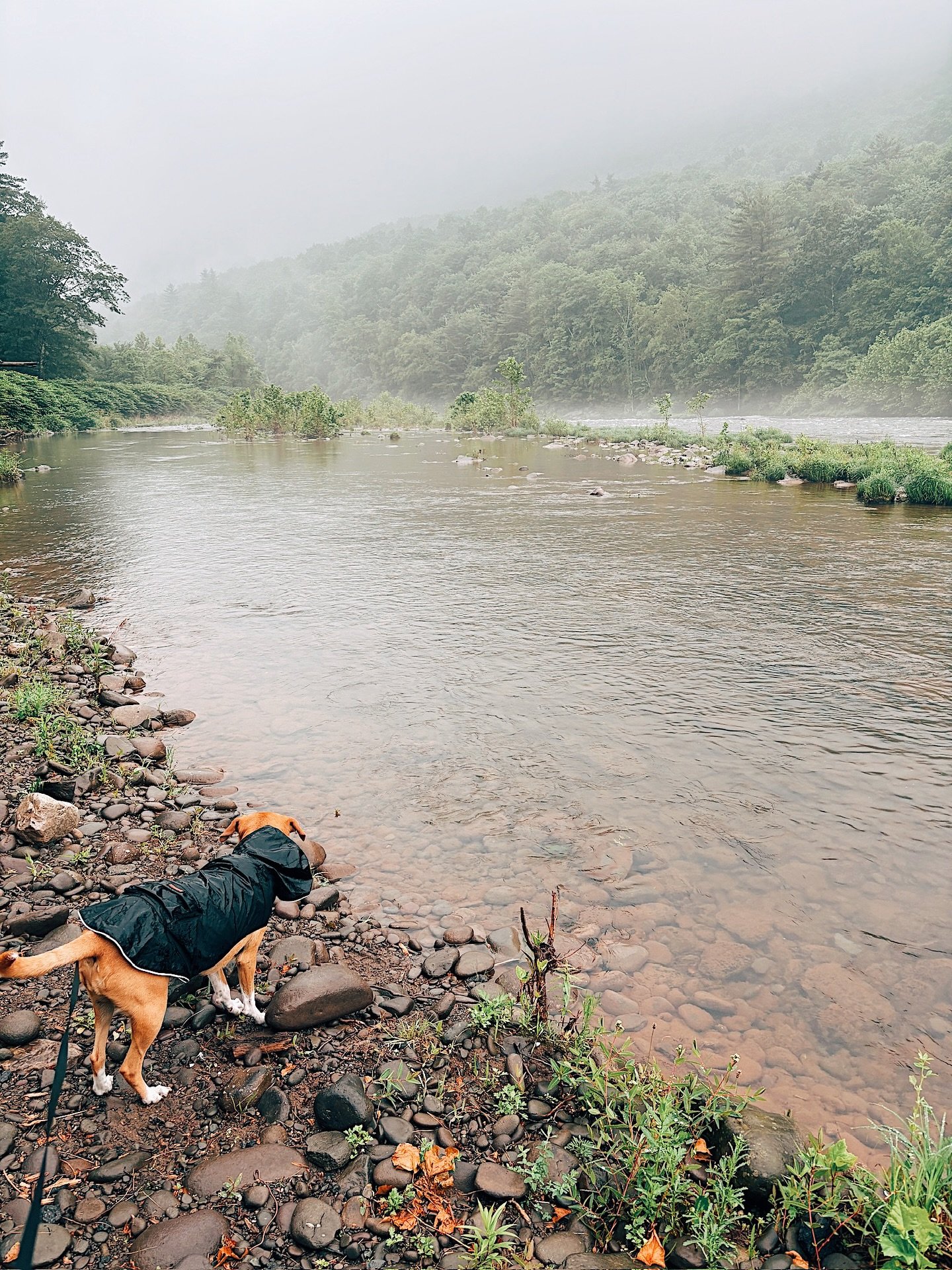 went upstate. touched some grass. read some books. walked some trails. drank some wine. put away my phone. 

what did I miss?

#upstatenewyork #woodstock #catskills