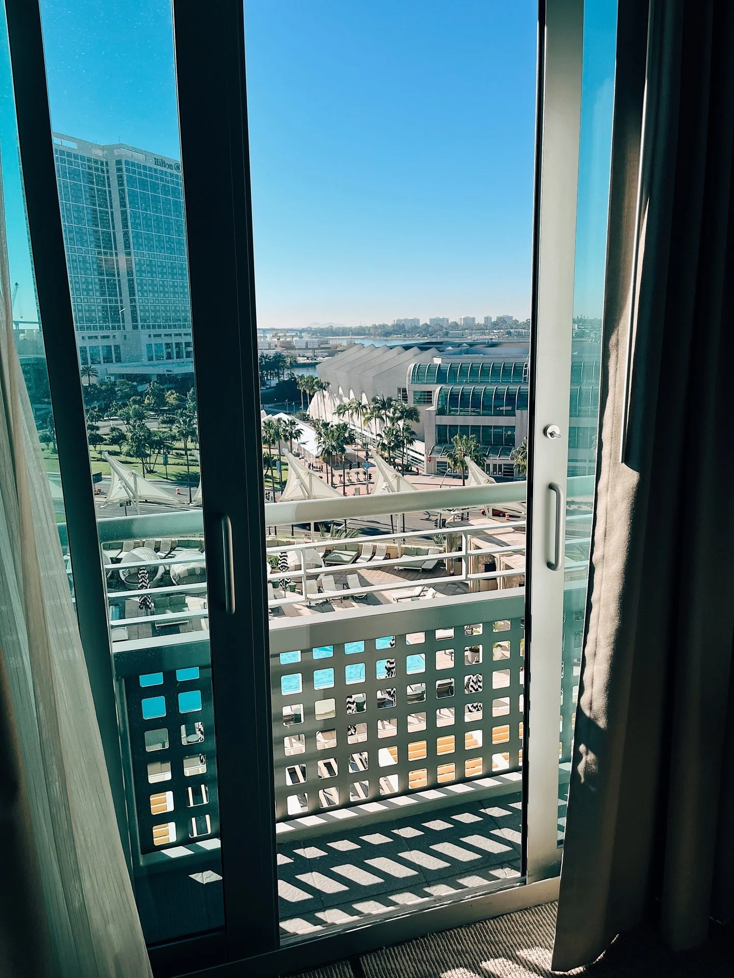 I went to San Diego for work and all I got was ten new gray hairs, good tacos, and weather nice enough to cure my seasonal affective disorder.