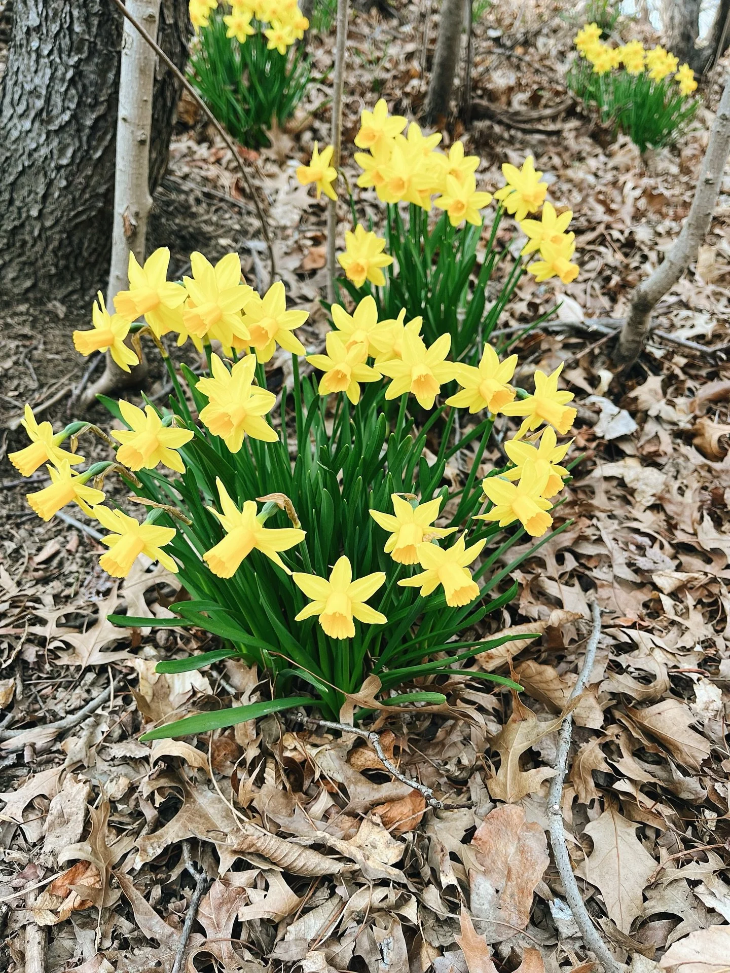 March moved slowly, word by word. deadline conquered, ghosts around the corner. still so much more to come.