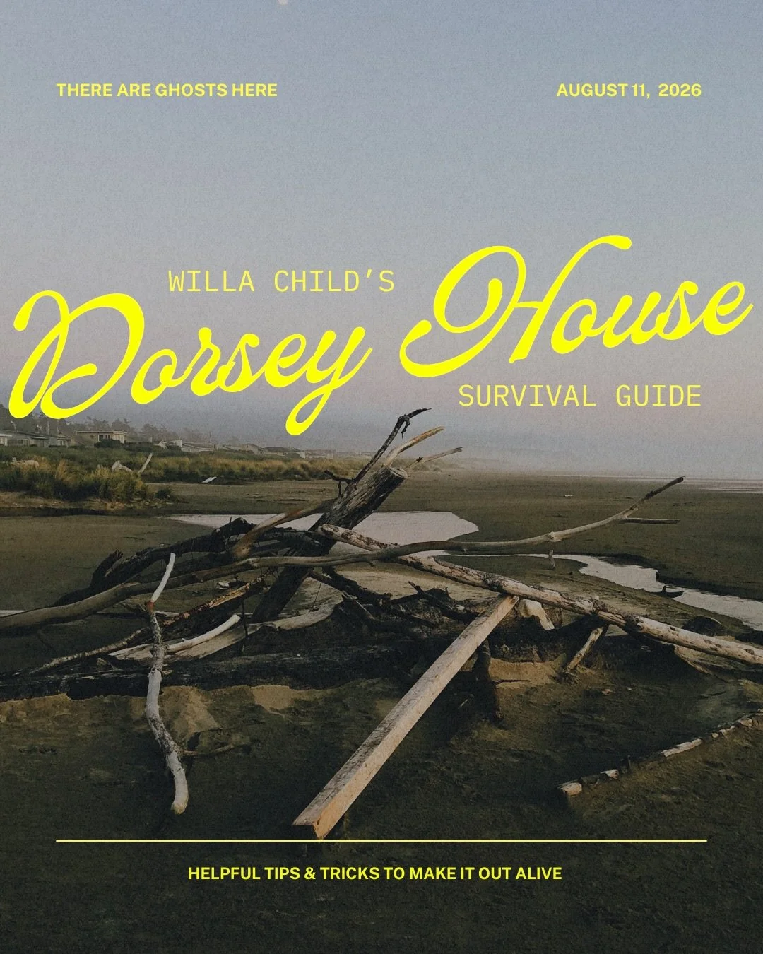 The only way out is to remember&hellip;

In the wake of a tragic incident, the details of which she can&rsquo;t remember, Willa Childs is sent to Dorsey House, a mysterious reformatory by the sea, only to learn from the other two residents that she&r