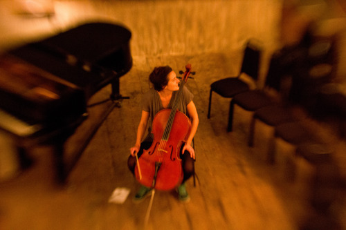 Tara Cello Wiltons.jpg