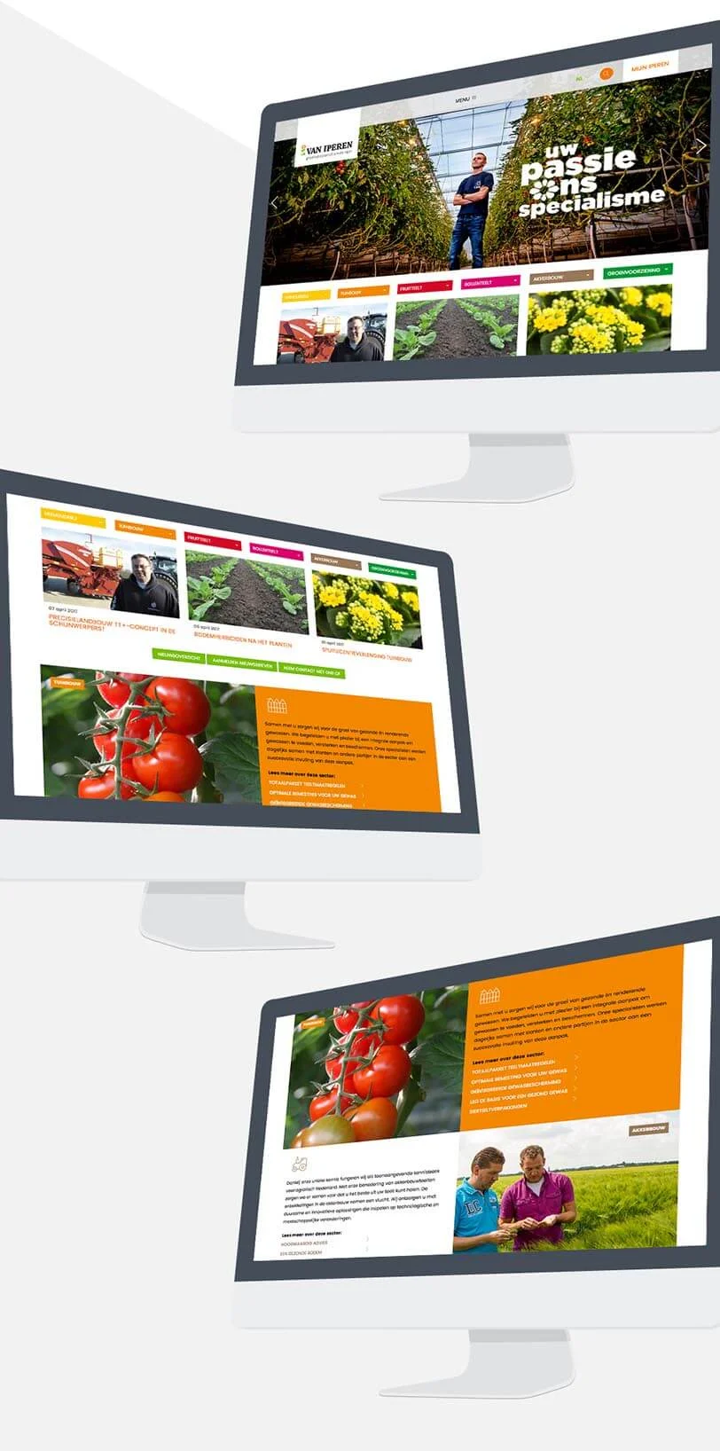 van-iperen-website.jpg