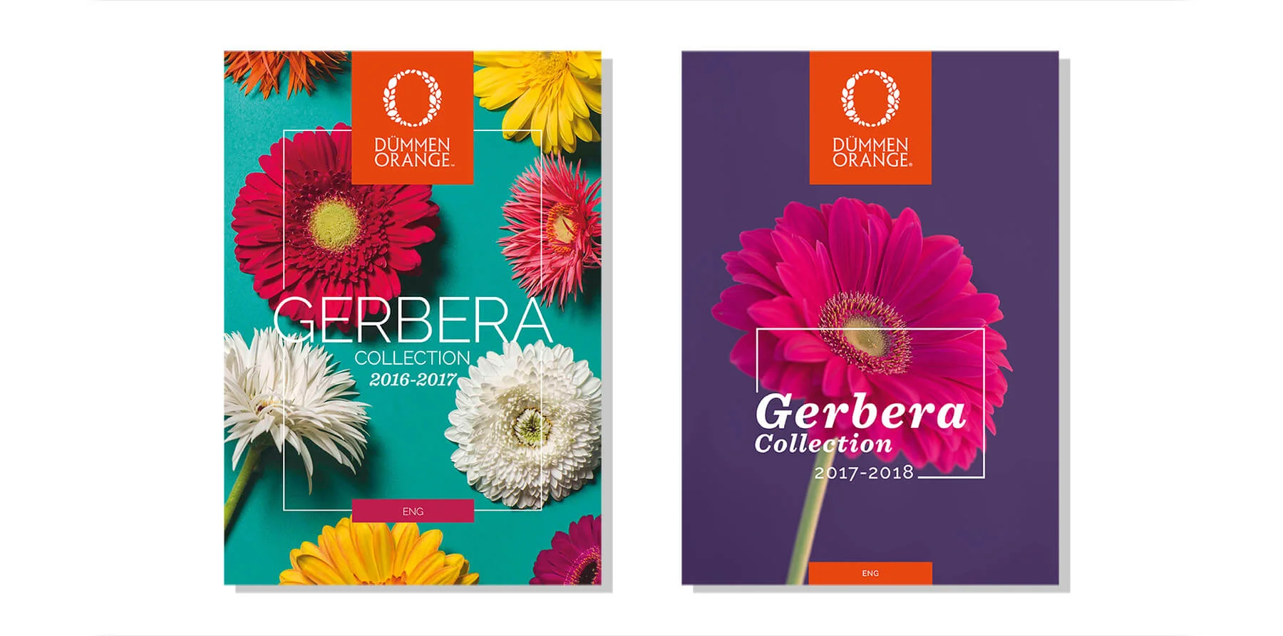 Brochures cover.jpg
