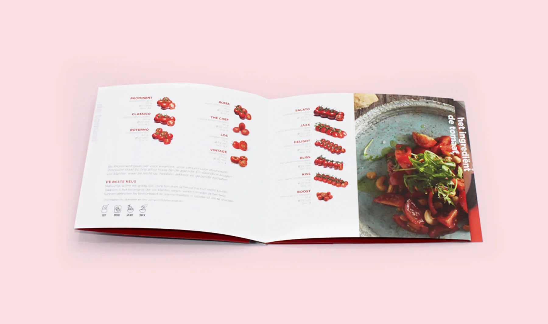 Brochure prominent 4.jpg