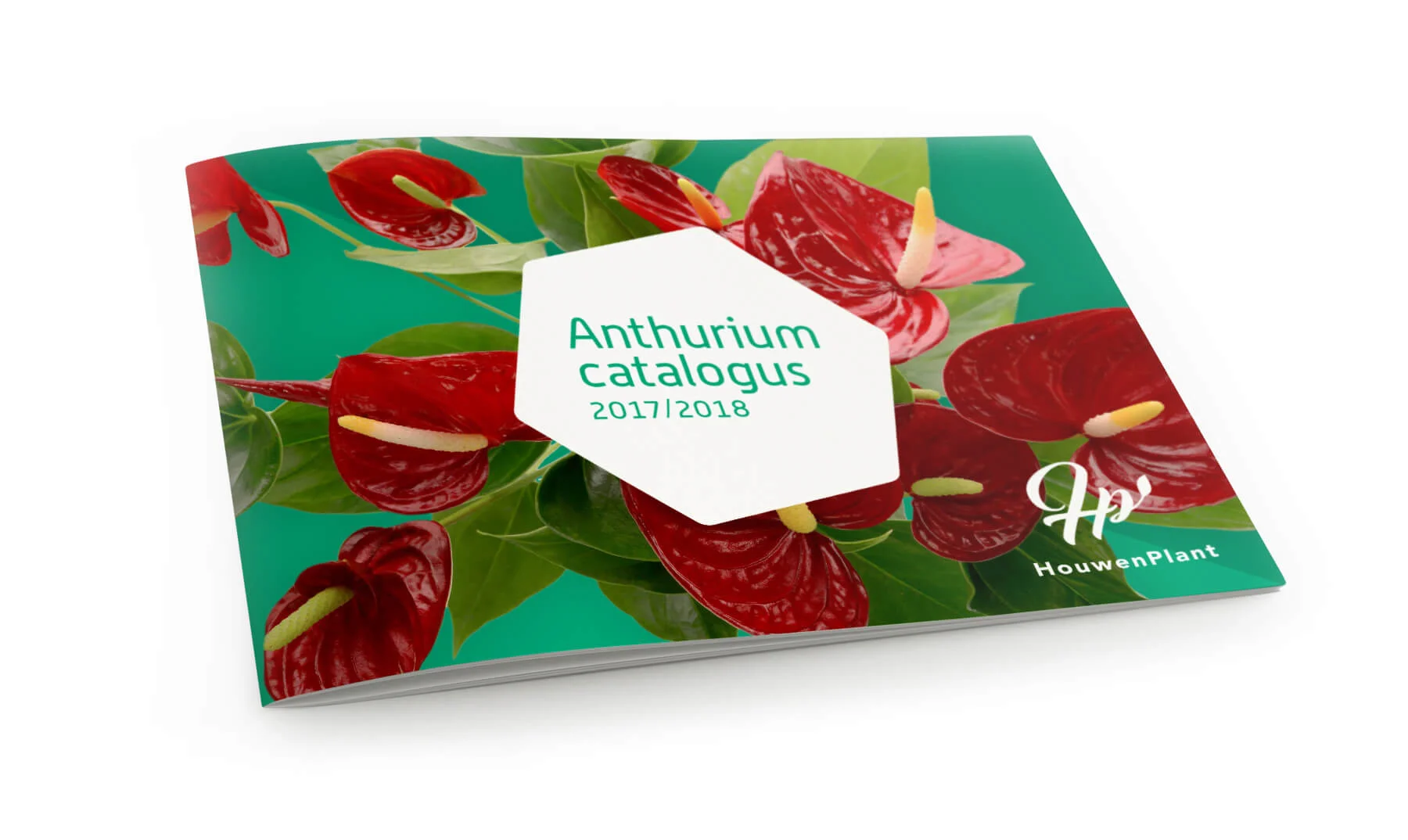 Houwenplant brochure voorkant.jpg