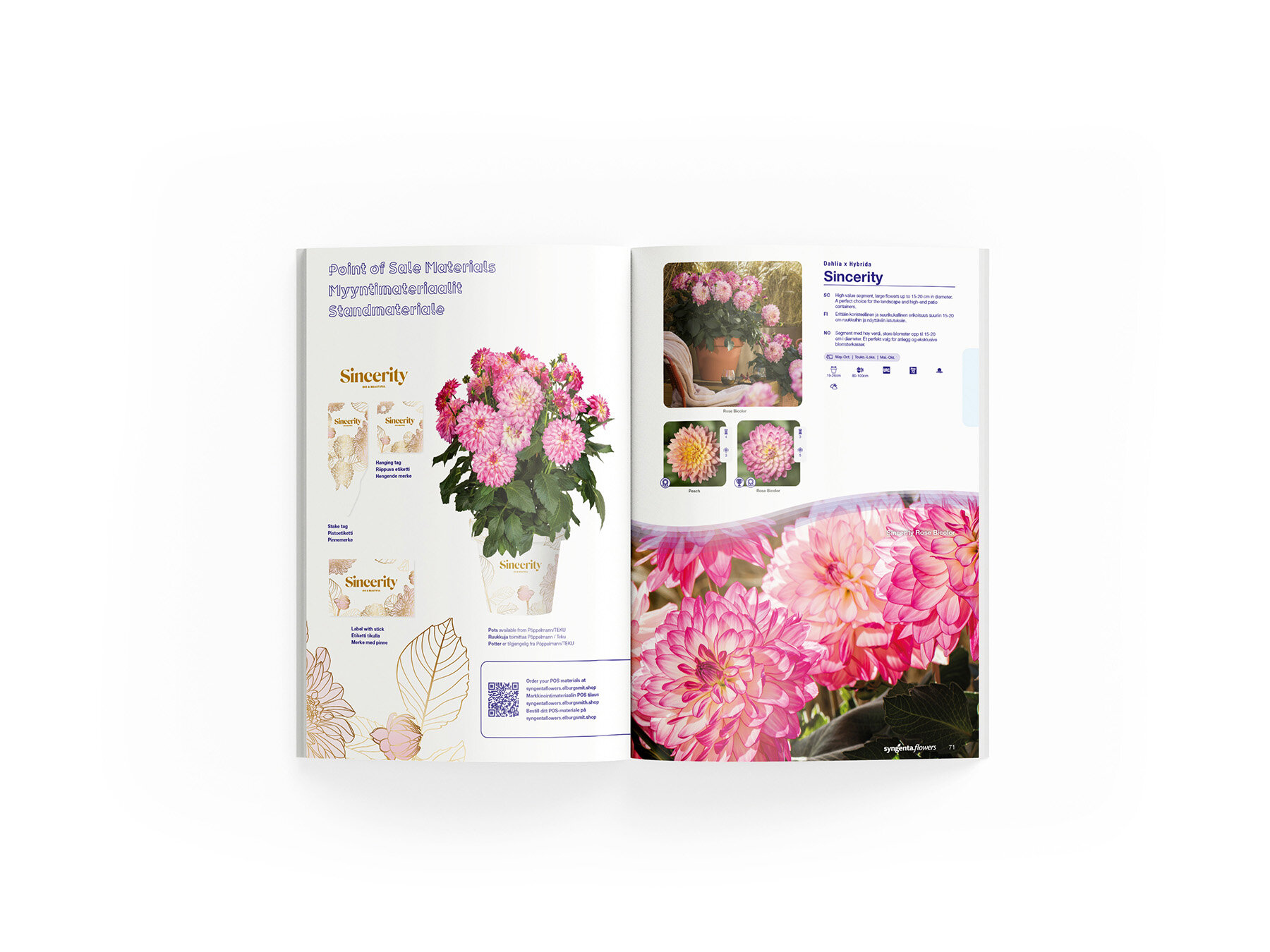 Syngenta Flowers catalog Annuals Sincerity.jpg