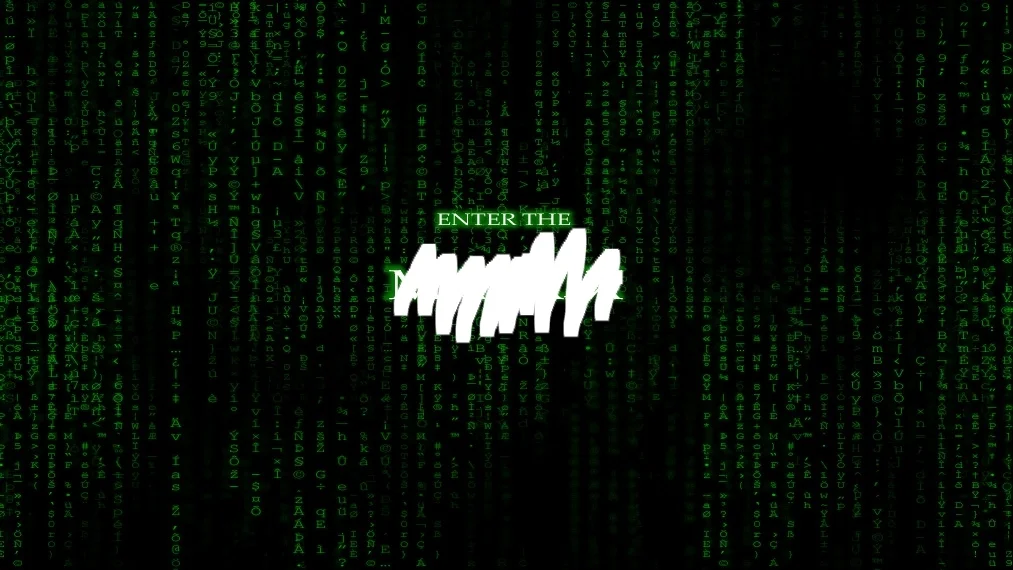 What do network operators sell to each other?