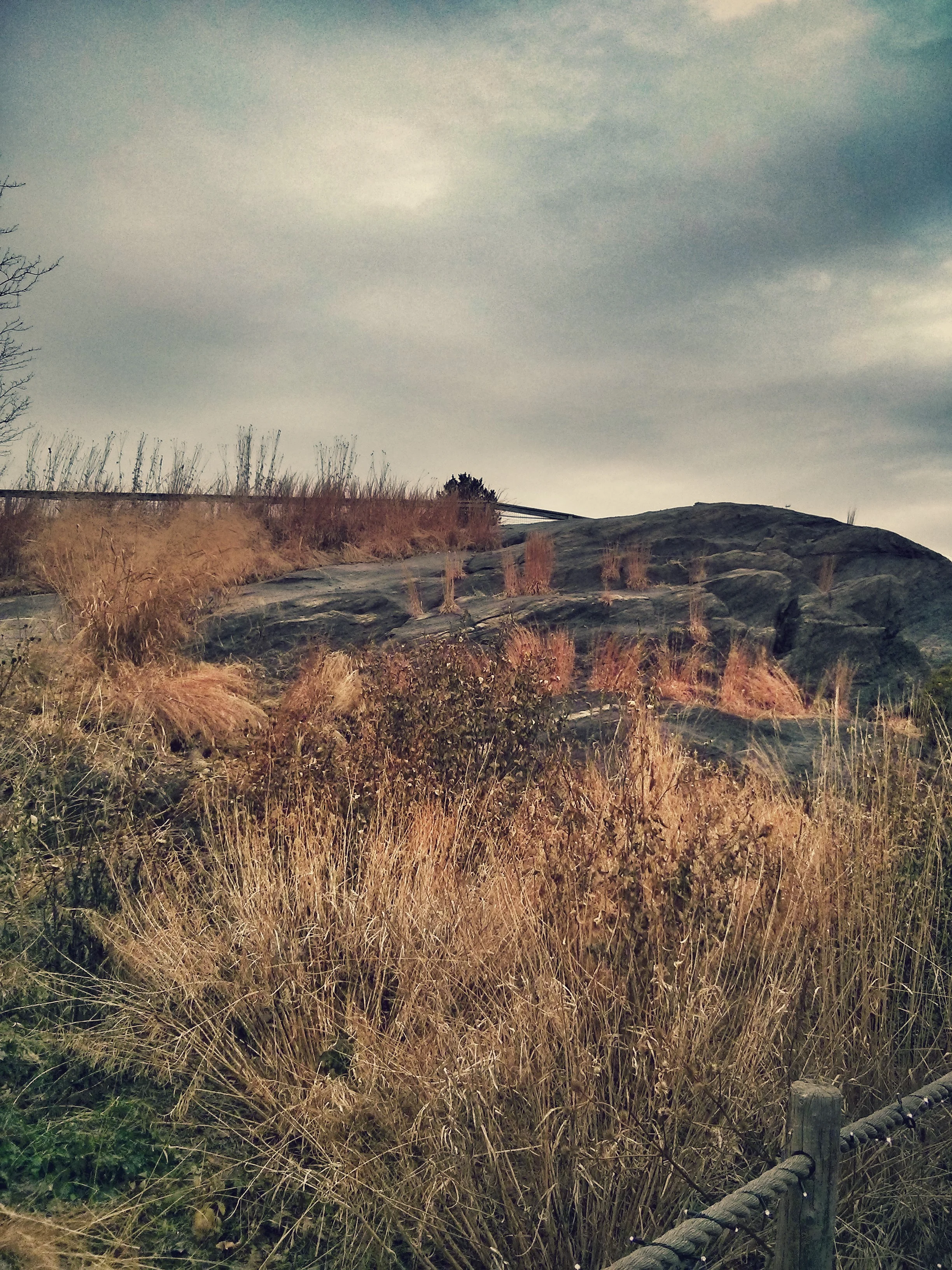 IMG_20131222_115546.jpg