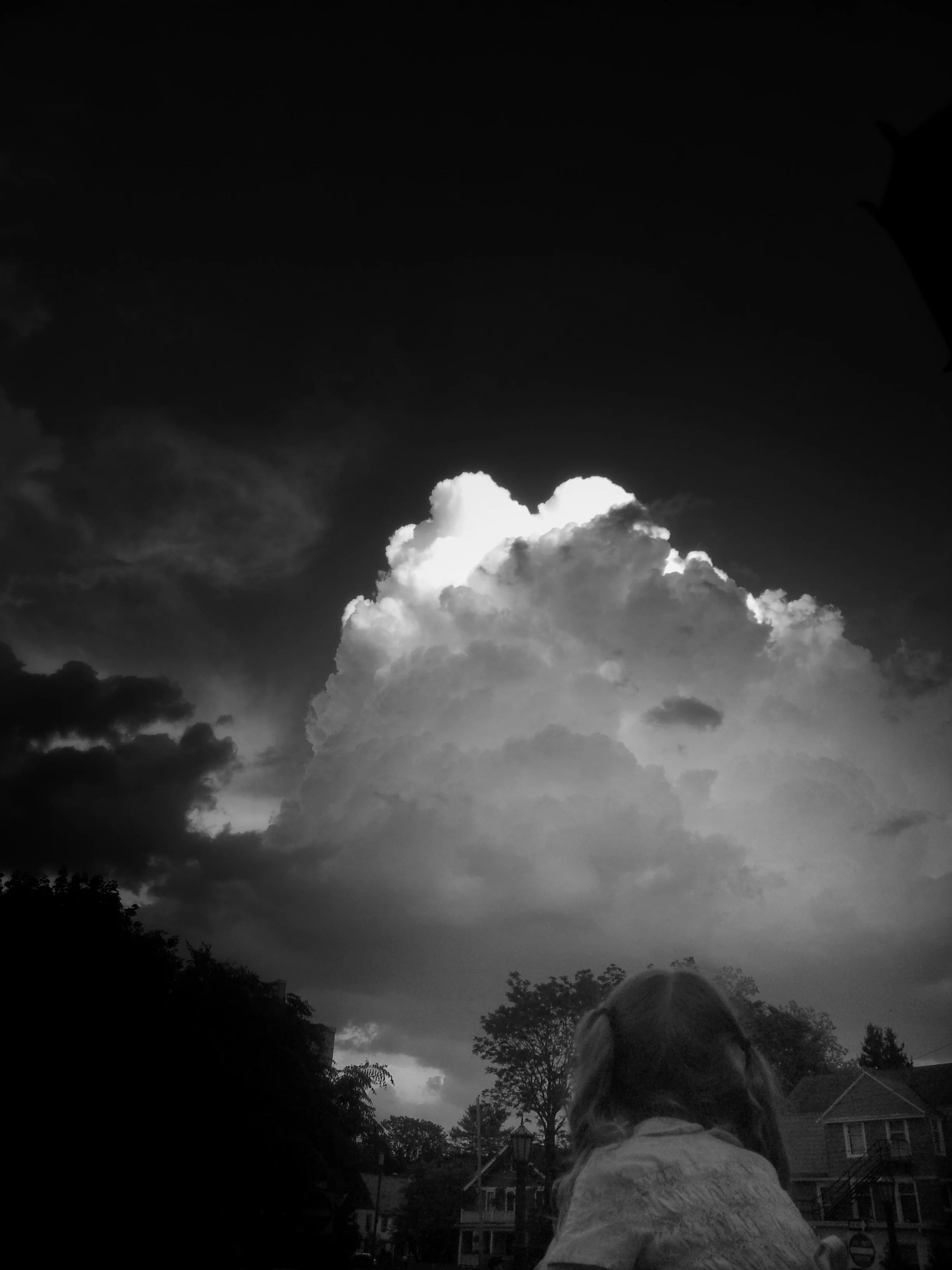 IMG_20130529_184142.jpg