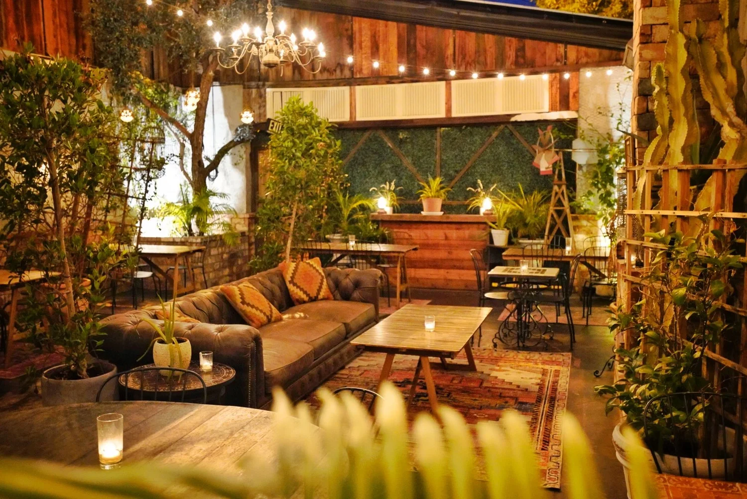 Bar photo 1