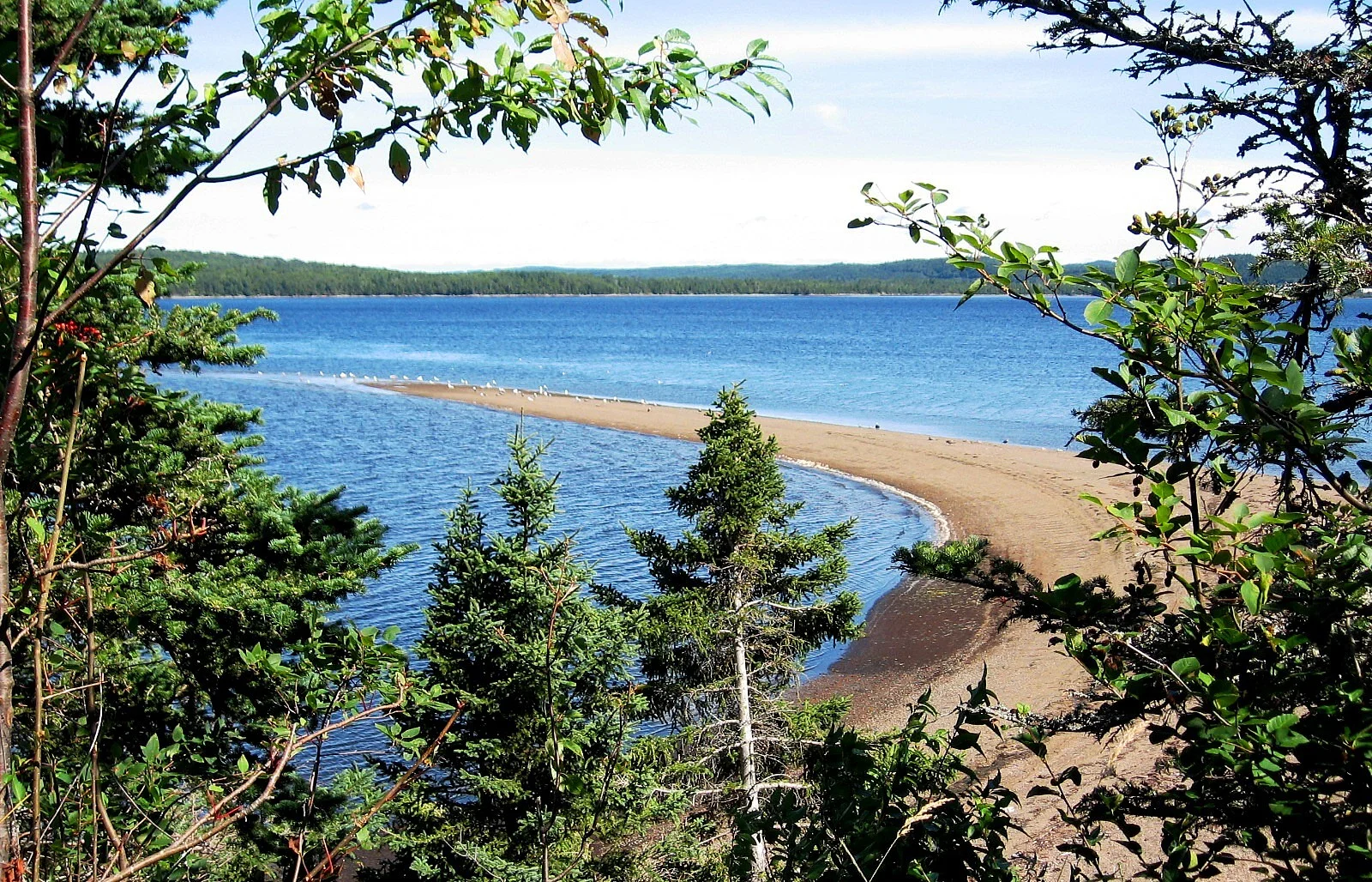 Wigwam Point '06.jpg