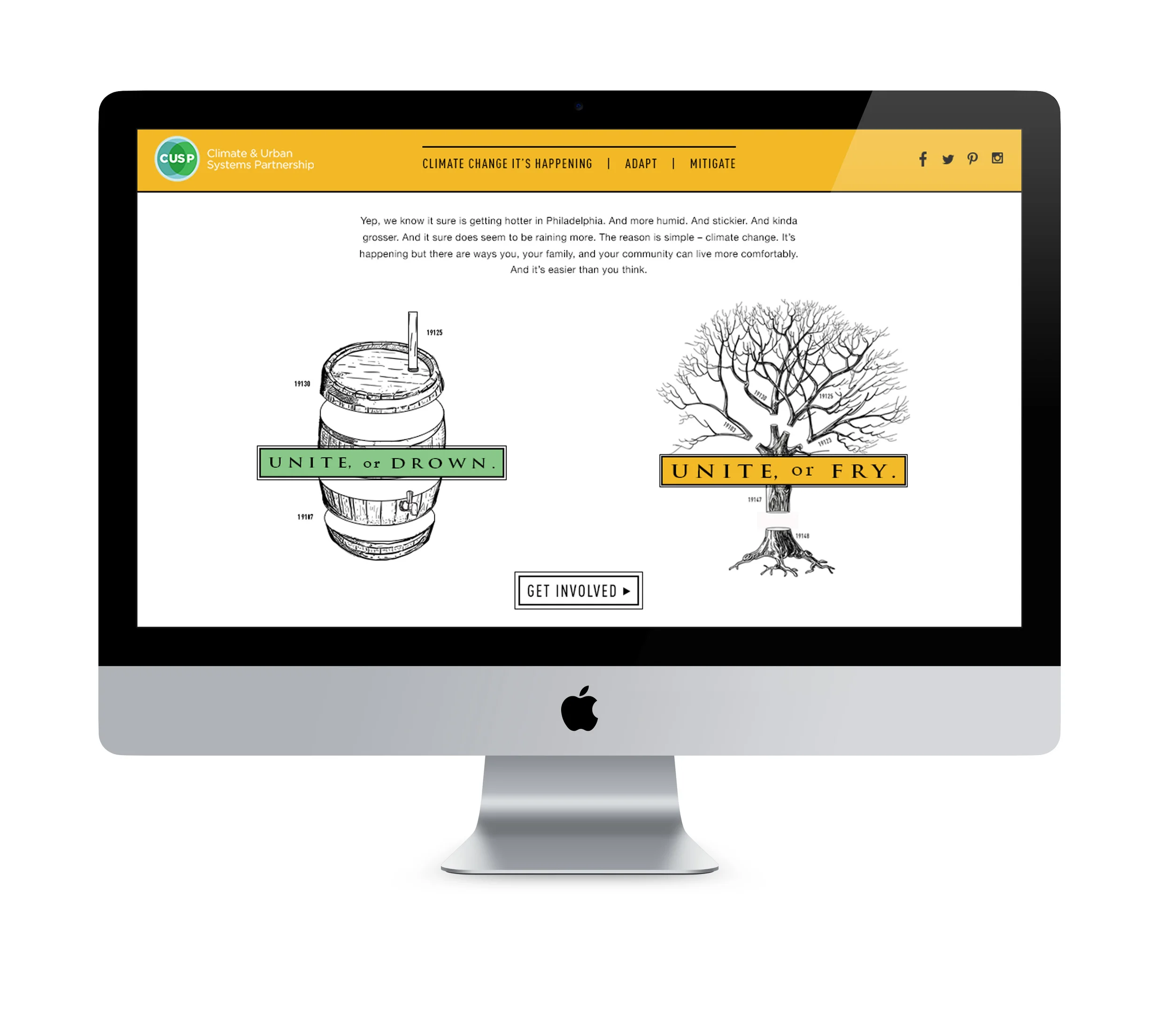 Website-fry.jpg
