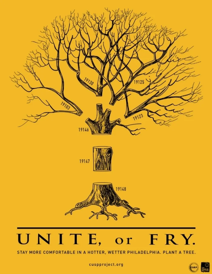 CUSP_TREE_2.jpg
