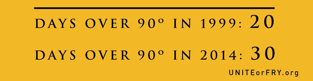 BUmper-sticker-3.jpg