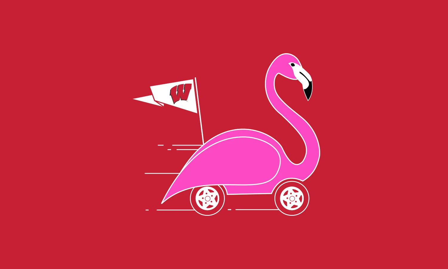 Flamingo.jpg