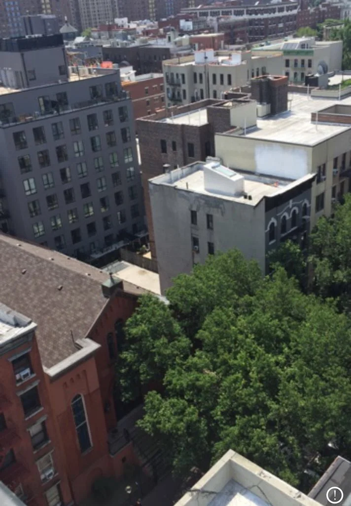 WhatsApp Image 2018-06-11 at 16.37.15.jpeg