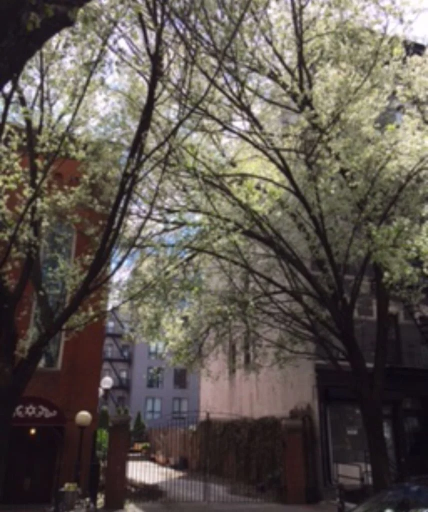 WhatsApp Image 2018-06-08 at 13.33.41.jpeg