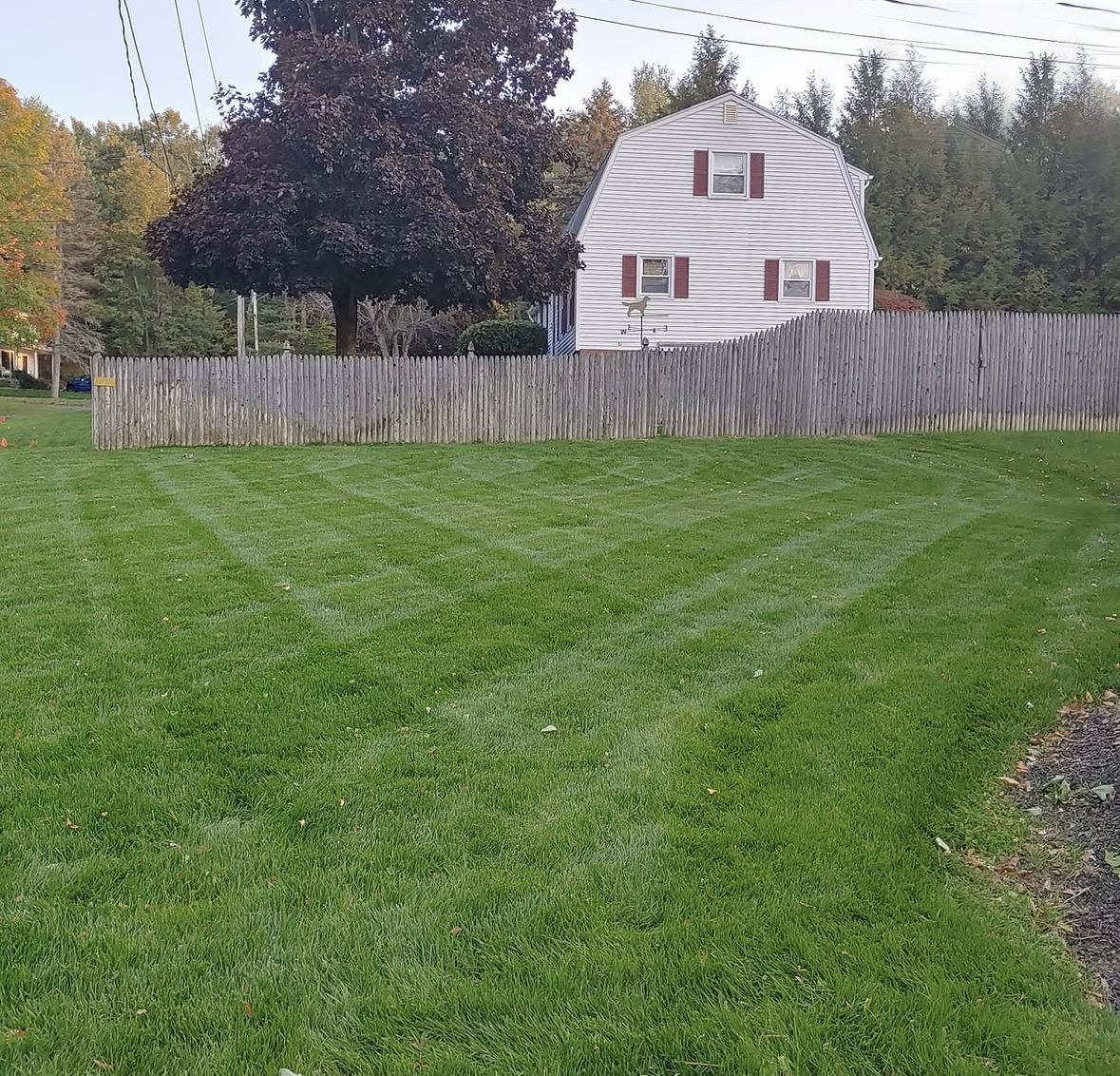 grass_westfield_after_02.PNG