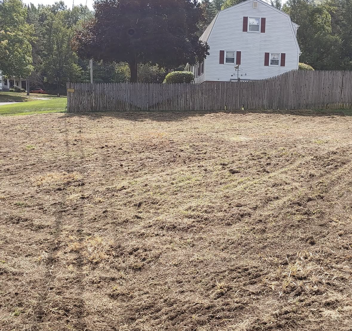 grass_westfield_before_01.PNG