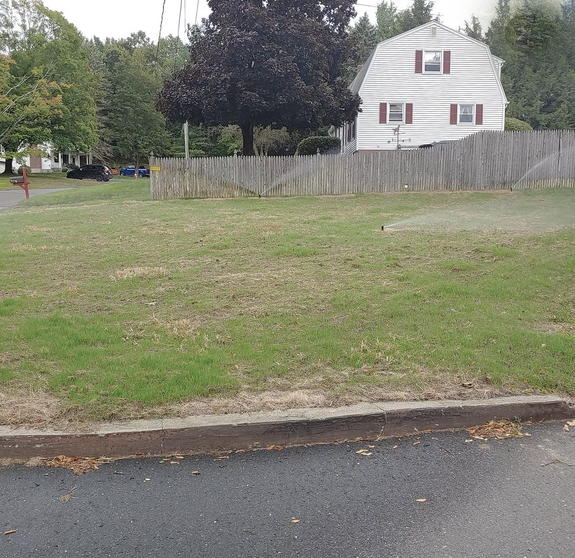 grass_westfield_during_01.PNG