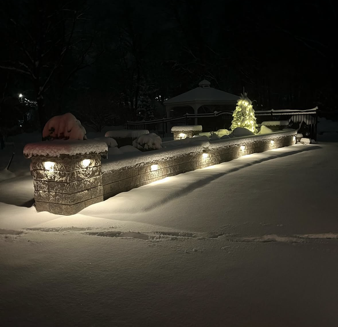A Backyard That Shines All Season