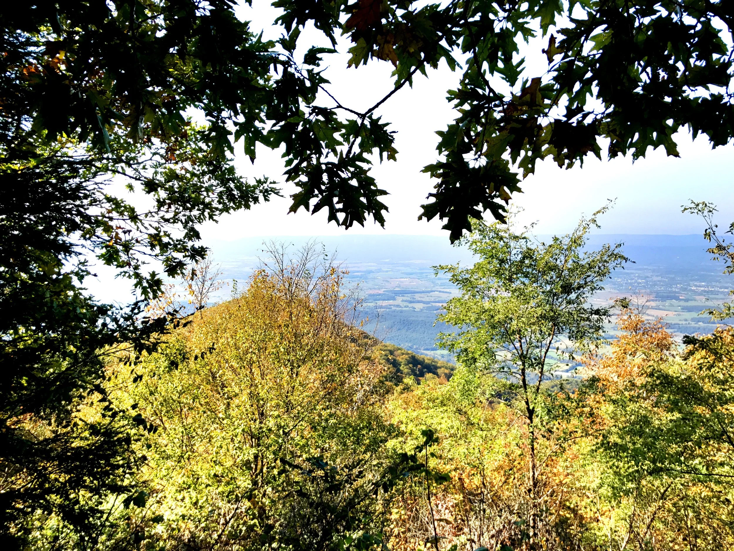 The view along Millers Head trail looking out over the Shenandoah Valley.