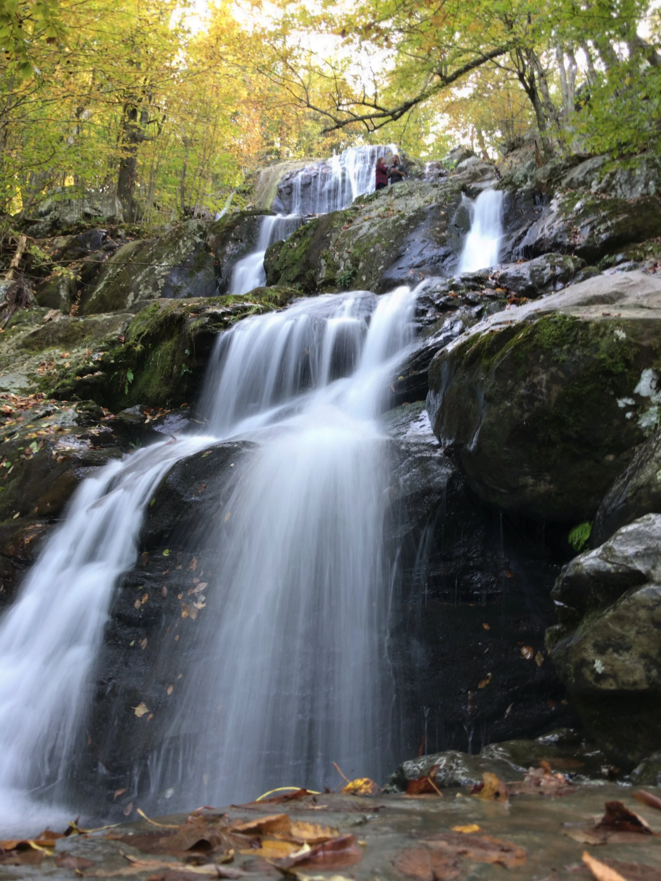 The base of Dark Hollow Falls.