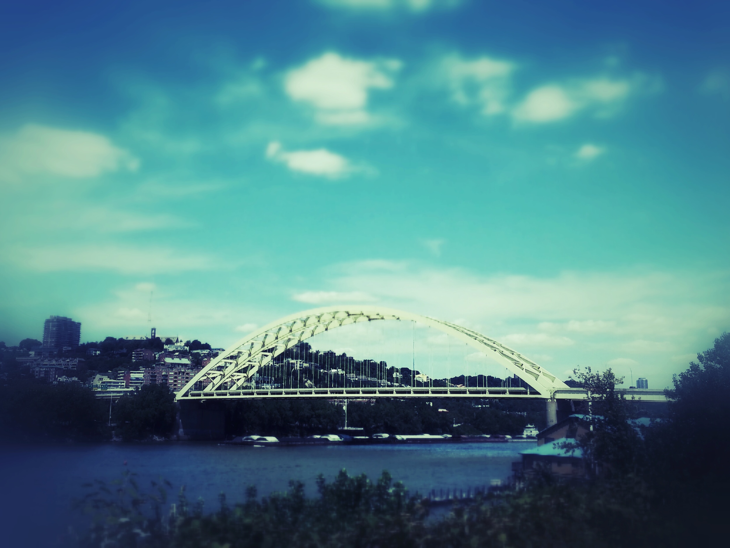 20120812_133826_0.jpg