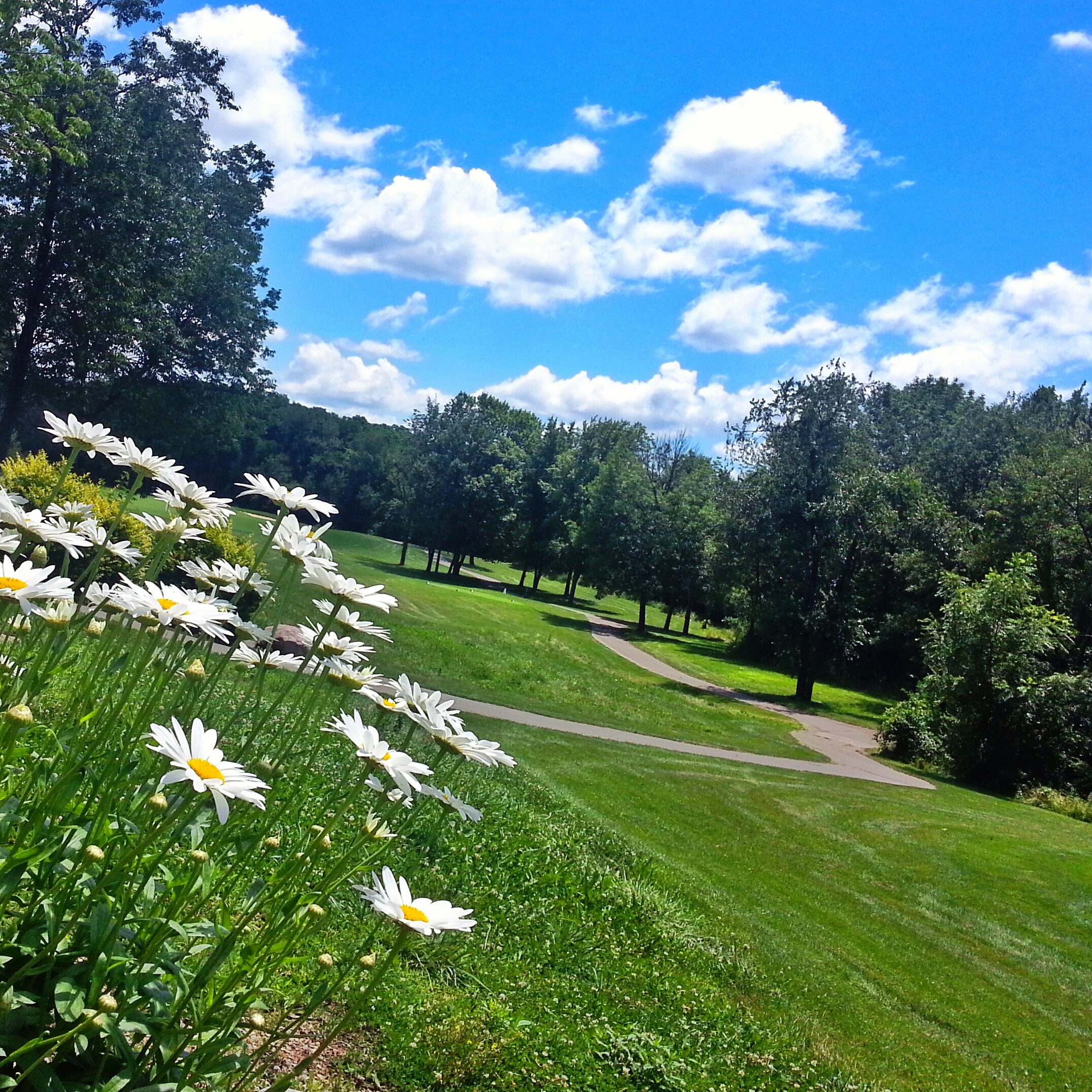 20130712_132901_1.jpg