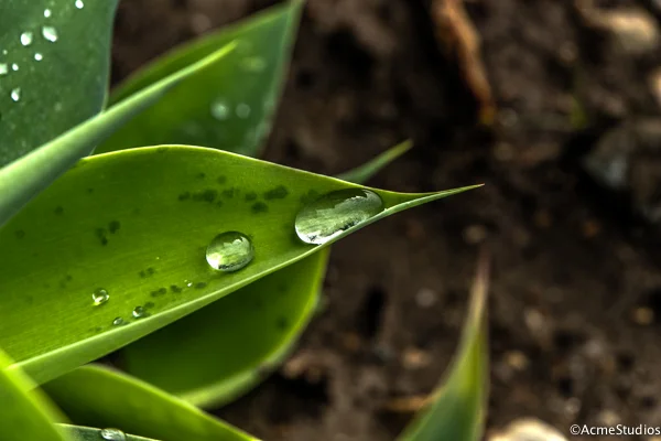 We've Been Invited To Join Getty Images