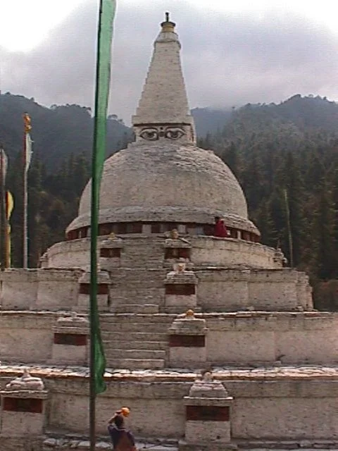 chendipji.jpg