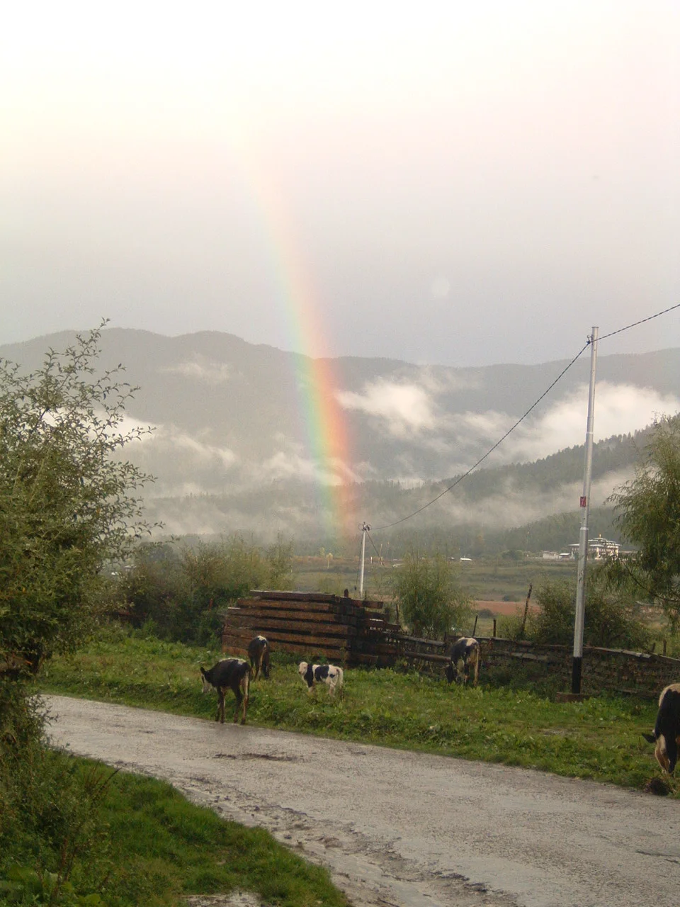 On the road to Kuengarabten..jpg