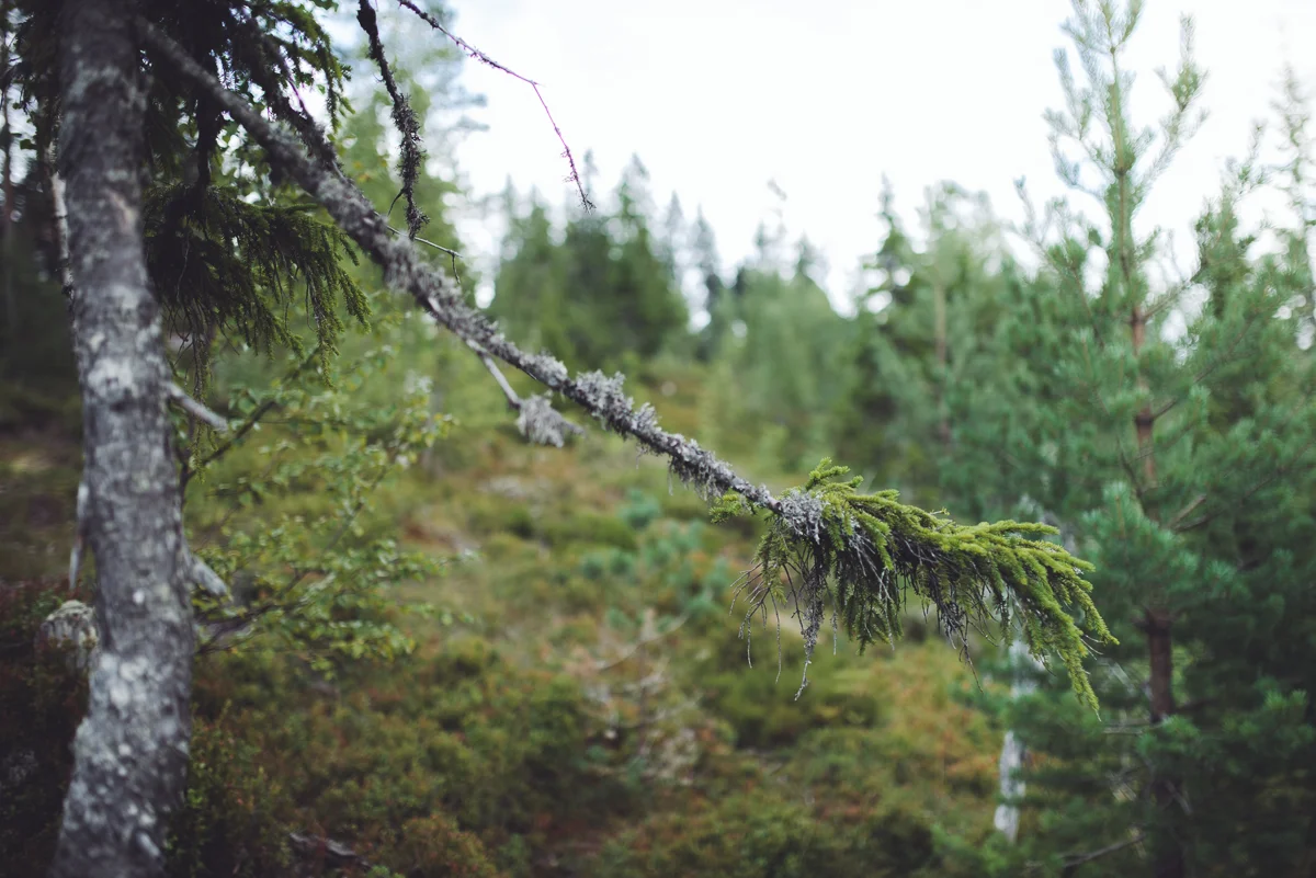 _DSC8896.jpg