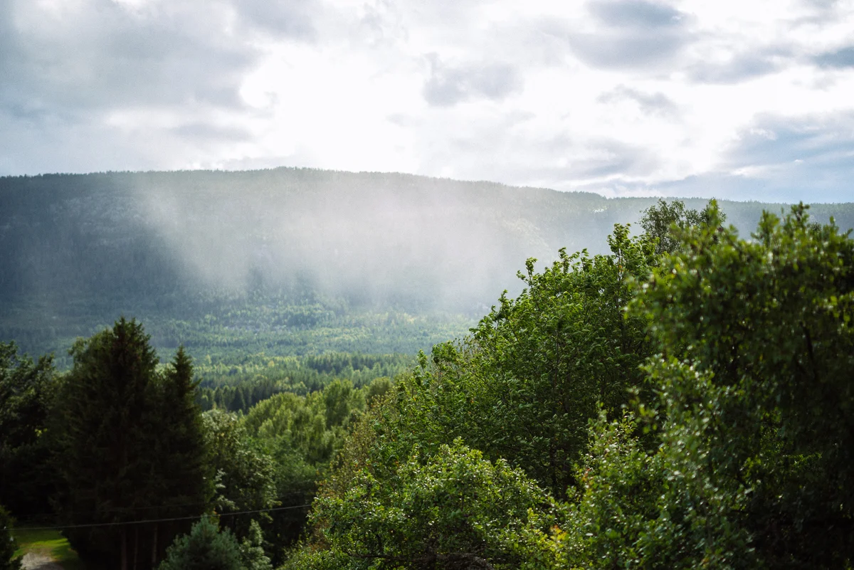_DSC8096.jpg