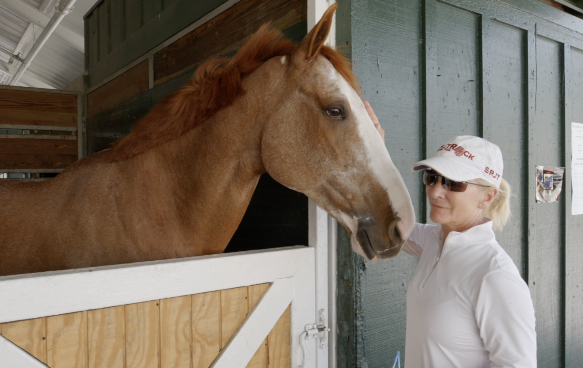 horse cu.png
