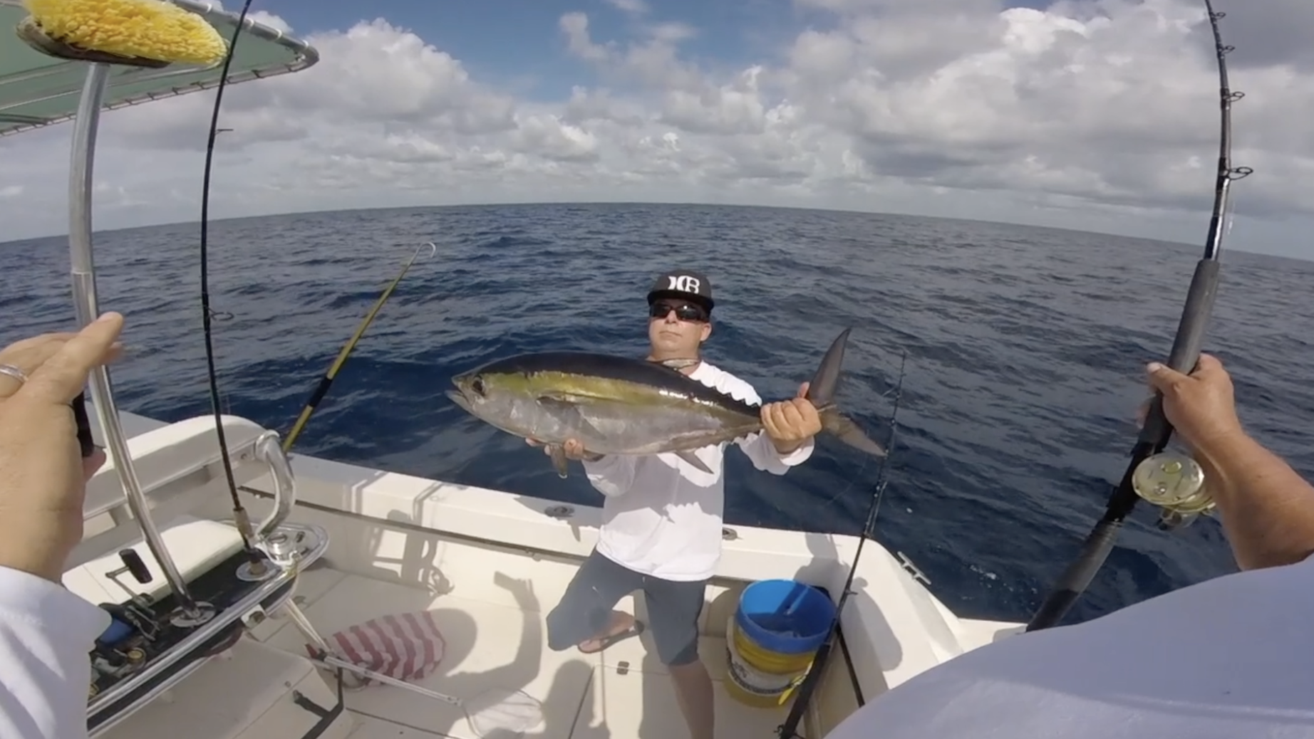 blackfin tuna
