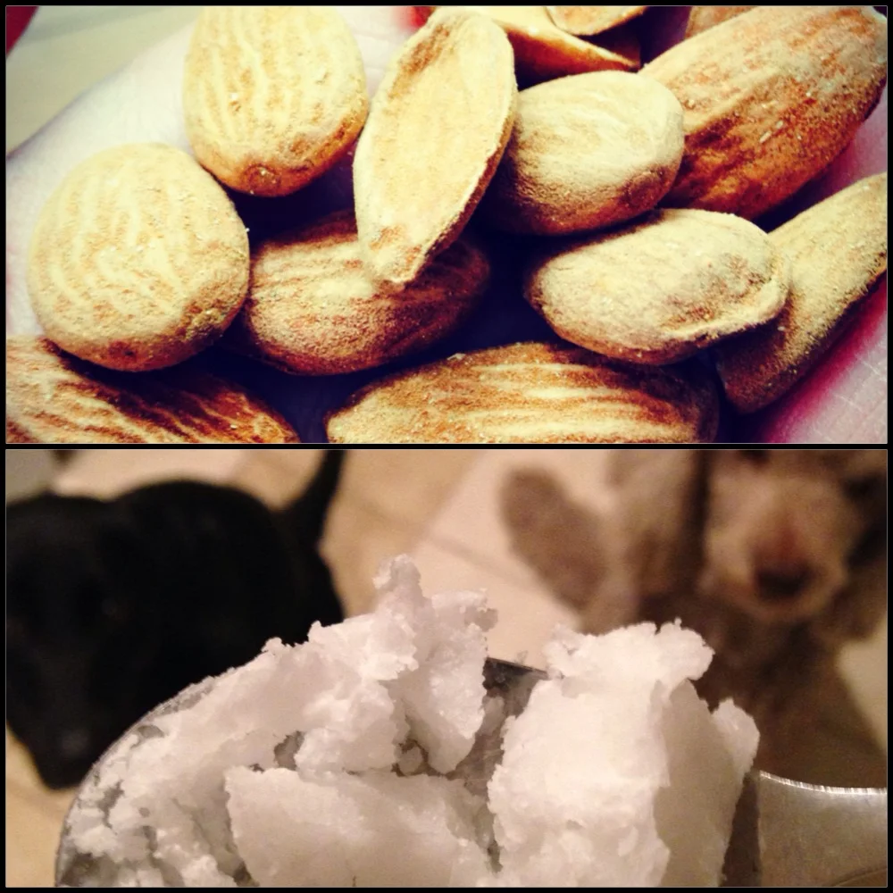 Raw, imported, and unpasteurized almonds & coconut oil (solid when room temperature is below 70)