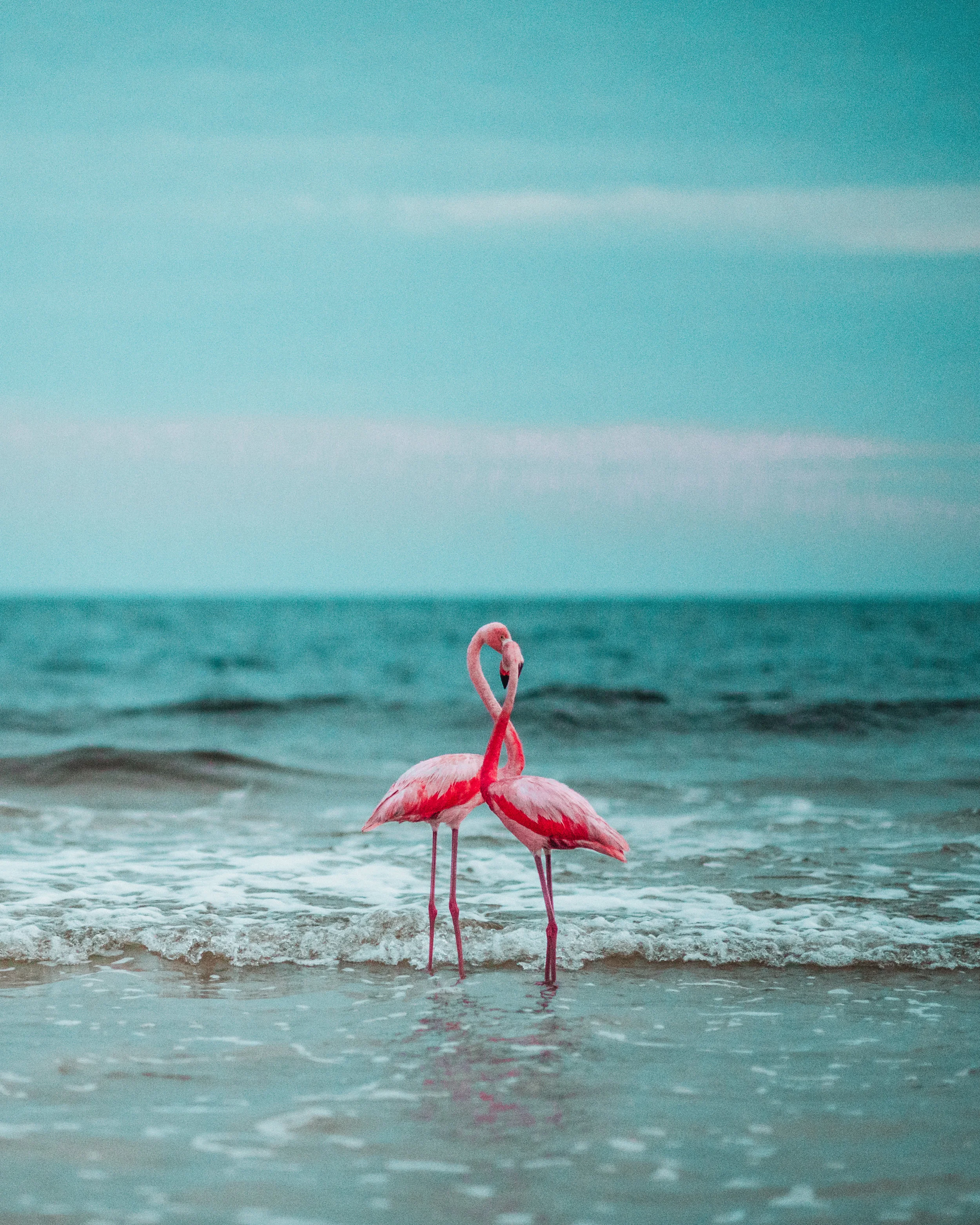 lovers 8x10 (1 of 1).jpg