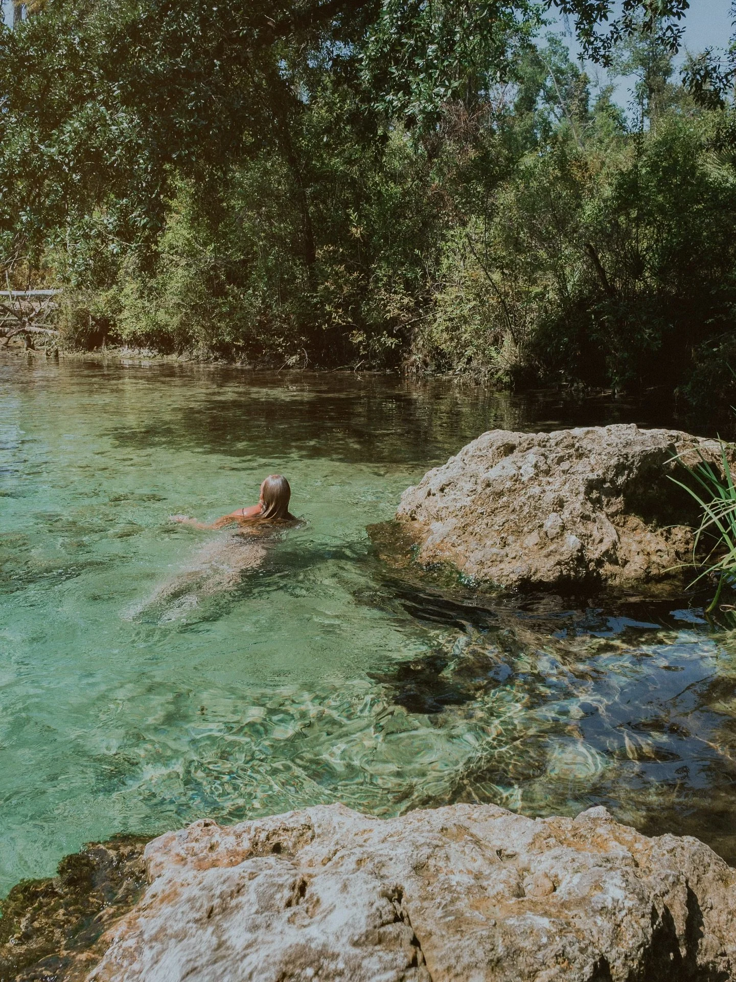 You step into a spring and suddenly realize that a billion years of rainfall, limestone, and quiet geological patience had to align so that clear water could rise from the earth—right here, right now—and meet your skin.
A fish drifts by.