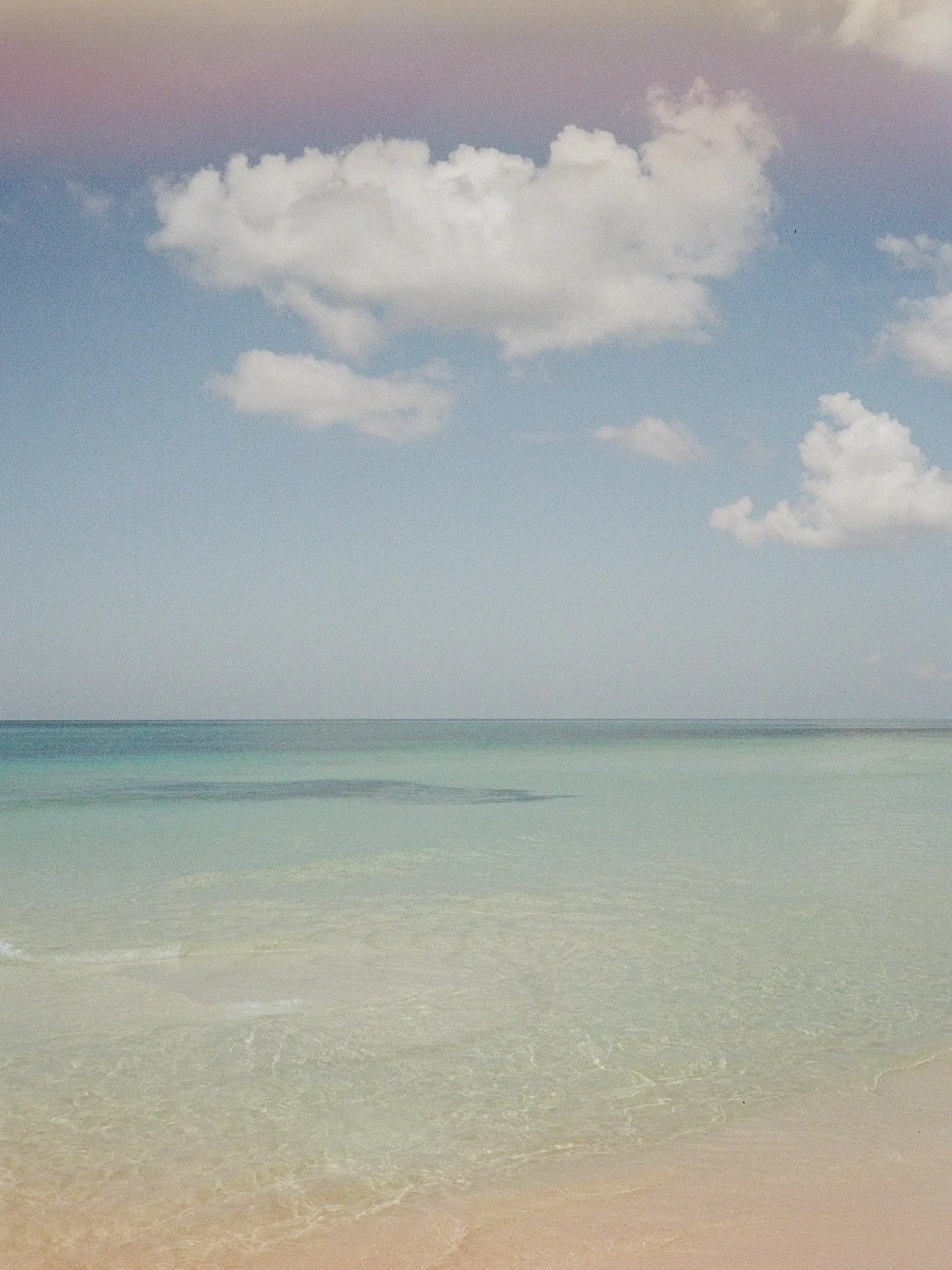 in my dreams... what the emerald coast looked like when it was still a secret. #35mm #30a #emeraldcoast
#shinrinyoku #lovefl #filmisnotdead #35mmfilmphotography #lovefl #gulfcoast #sowal #30aphotographer #oceantherapy #naturetherapy