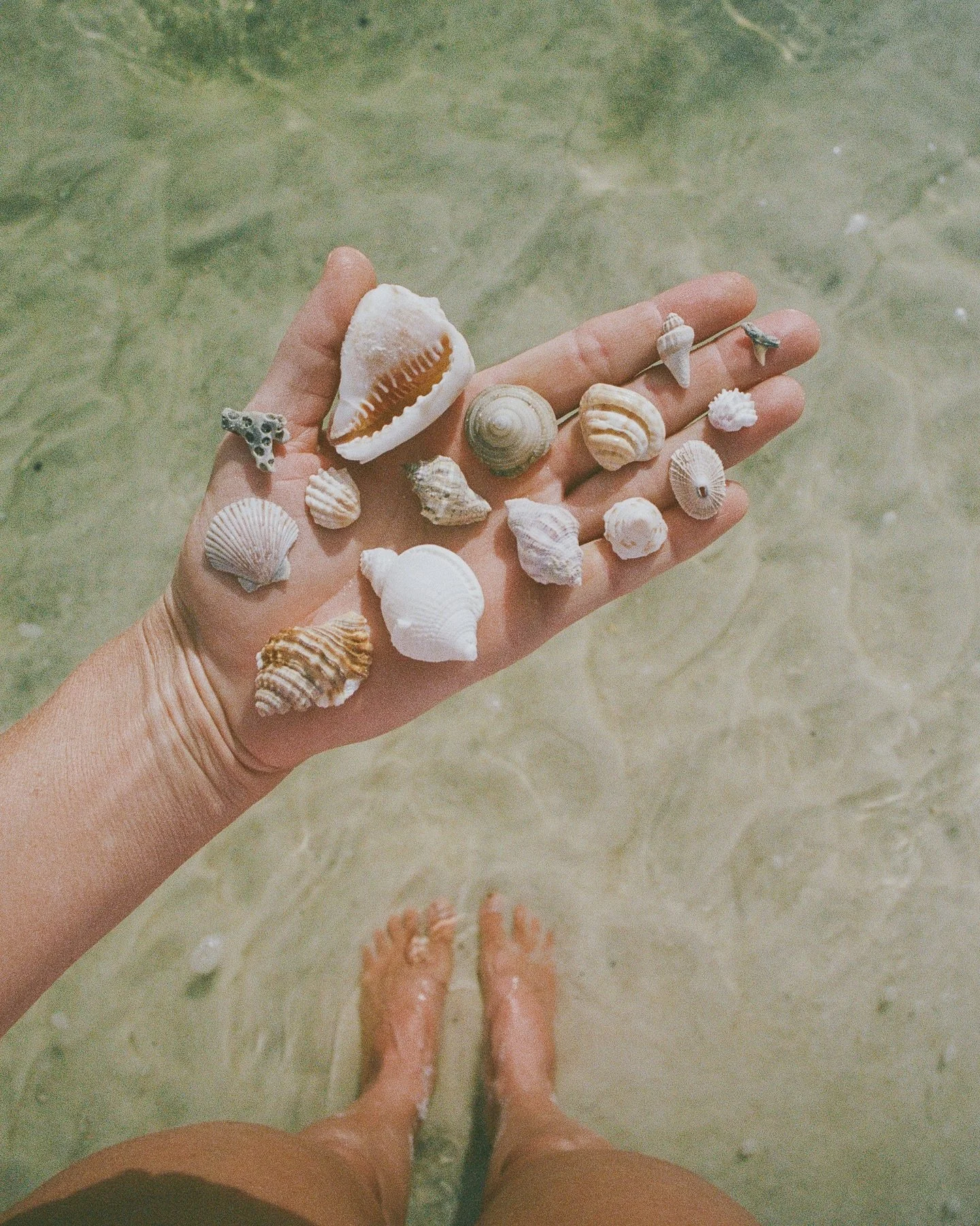 Most of us try to feel whole by adding pieces.
But wholeness isn’t completion —
it’s remembering who you were
before all the stories. #livinginceremony
#35mm #shinrinyoku #oceantherapy #forestbathing #naturebathing #nervoussystemhe