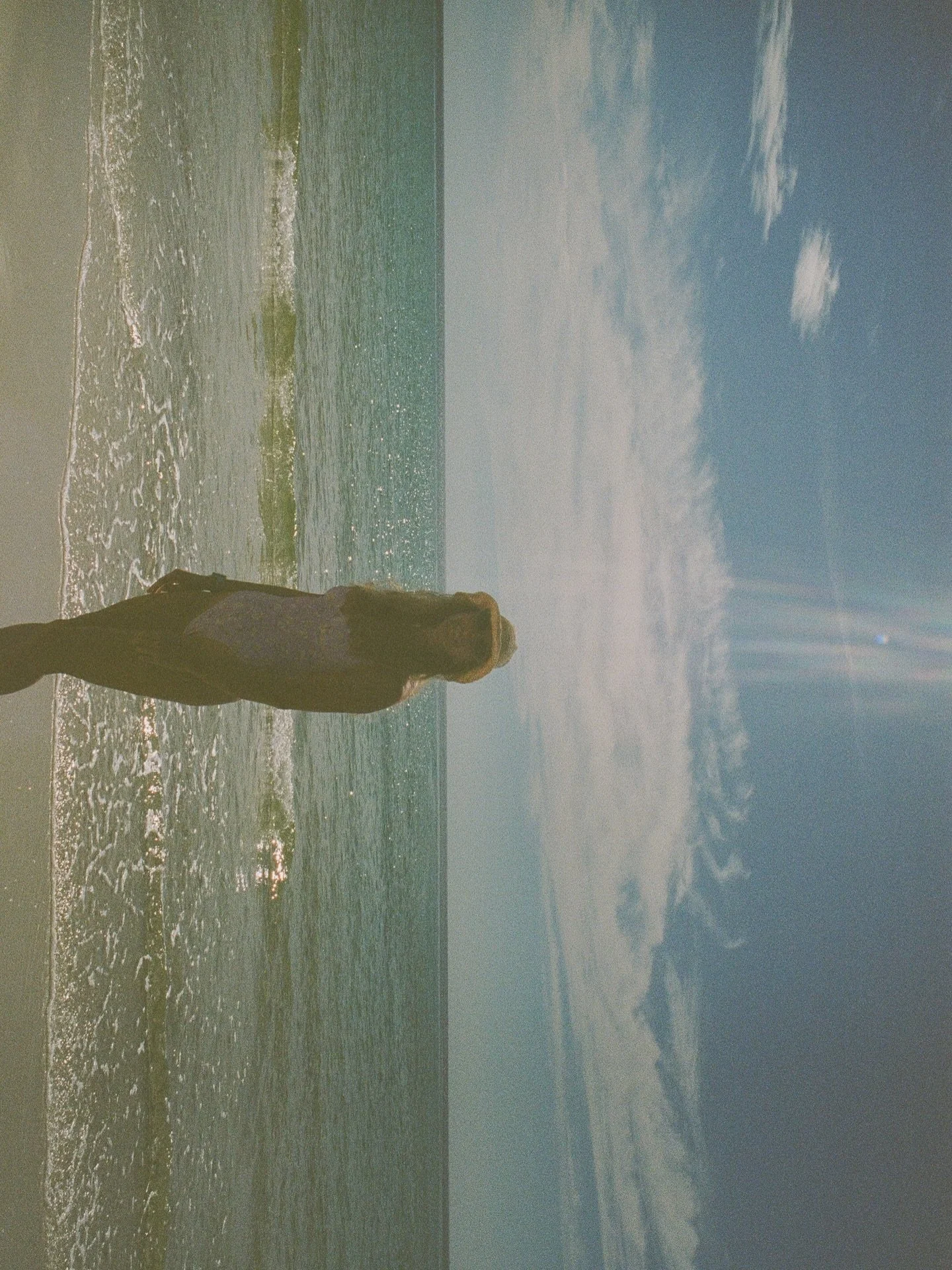 What if the real art is learning to move without urgency?

Everything in nature &ldquo;does&rdquo; &mdash; the shell still forms, the tide still shifts, the turtle still crosses the shoreline.
But none of it is built in panic.
None of it is driven by