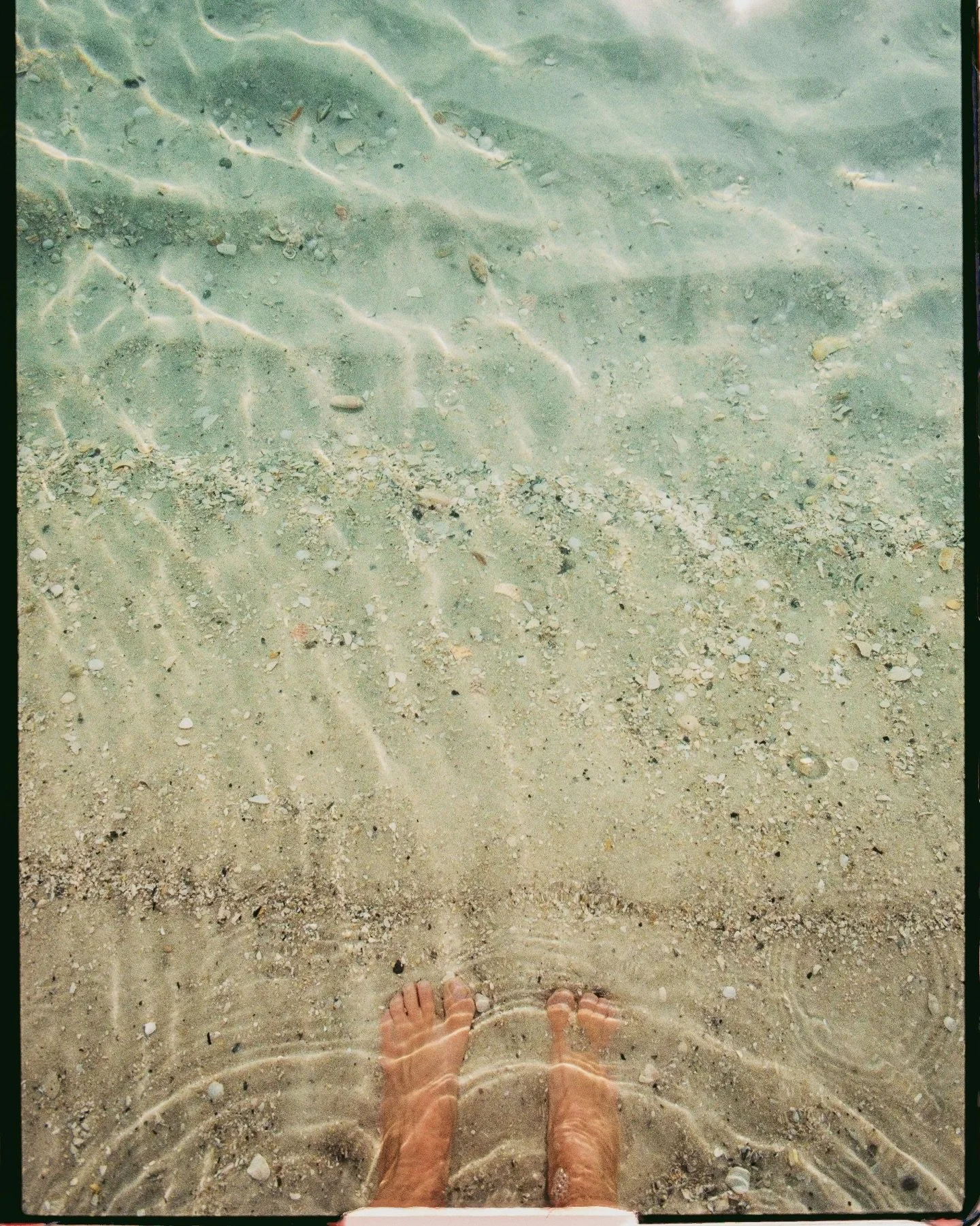 salty + unscheduled. on film.

#artofliving #30a #lovefl #shinrinyoku #naturetherapy