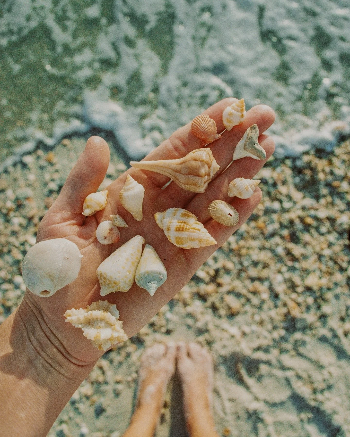 sometimes clarity isn&rsquo;t found by processing everything-
but by knowing what to let pass.

my favorite kind of pile on 35mm film. 

#lovefl #filmisbetter #artofliving #livinginceremony #30aphotographer