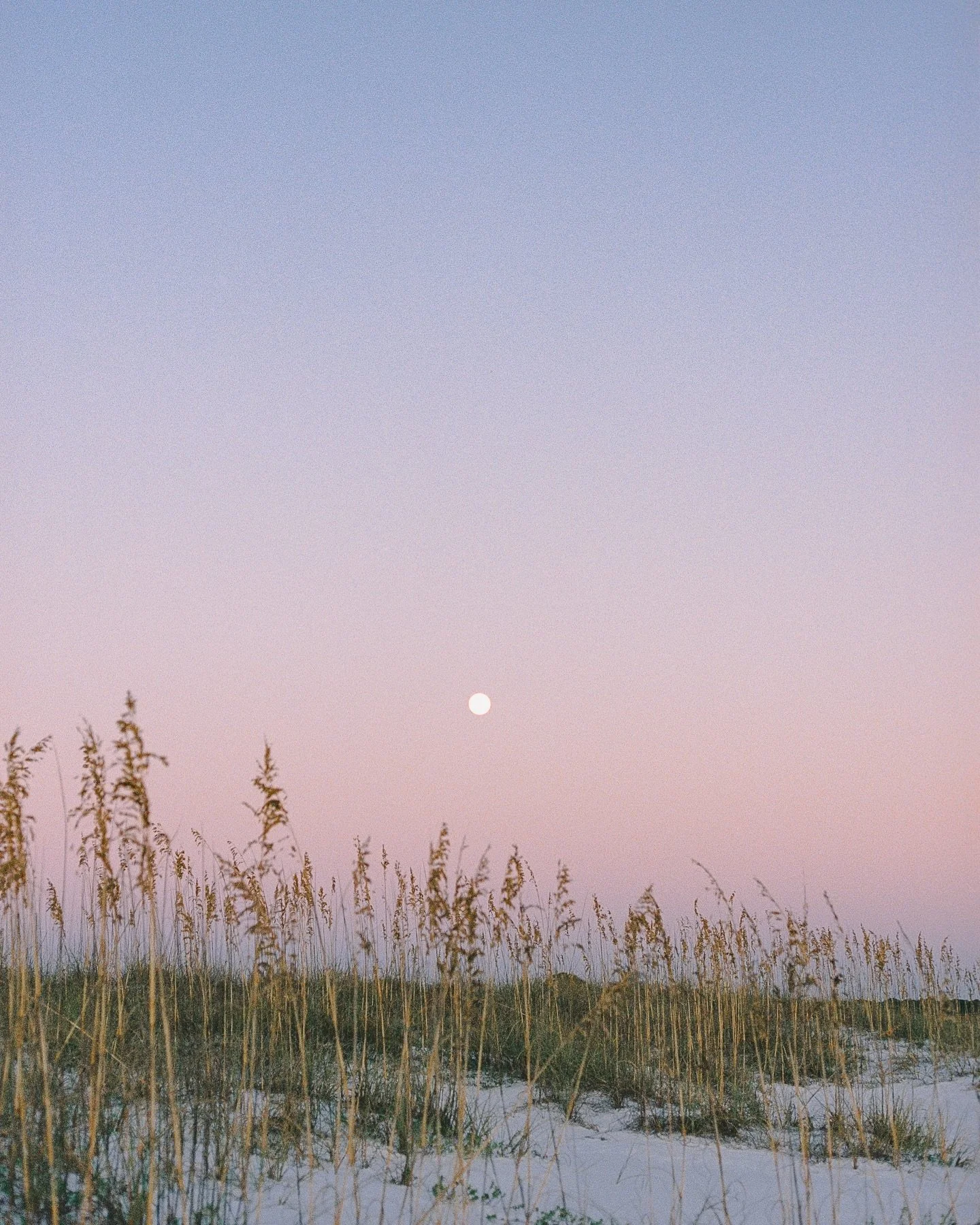 Protect the time that looks like nothing.

full moon over grayton beach on 35mm.

#30a #30aphotographer #livinginceremony #artofliving #35mmfilm