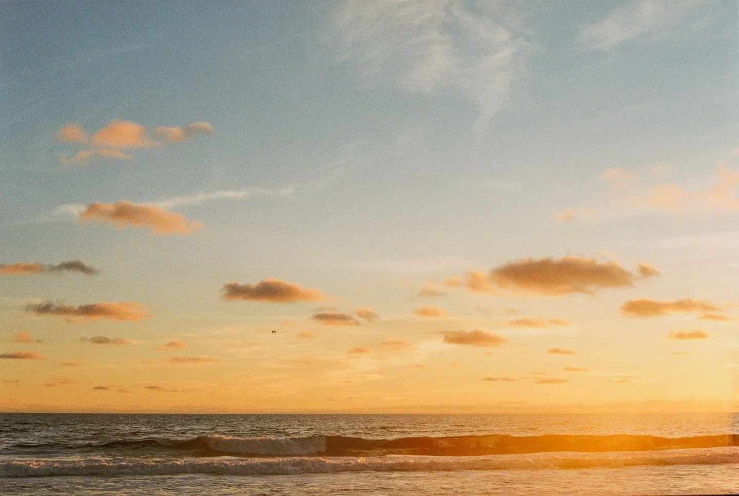 a study in feeling color.
on film.

#30aphotographer #30a #artofliving #shinrinyoku #oceantherapy