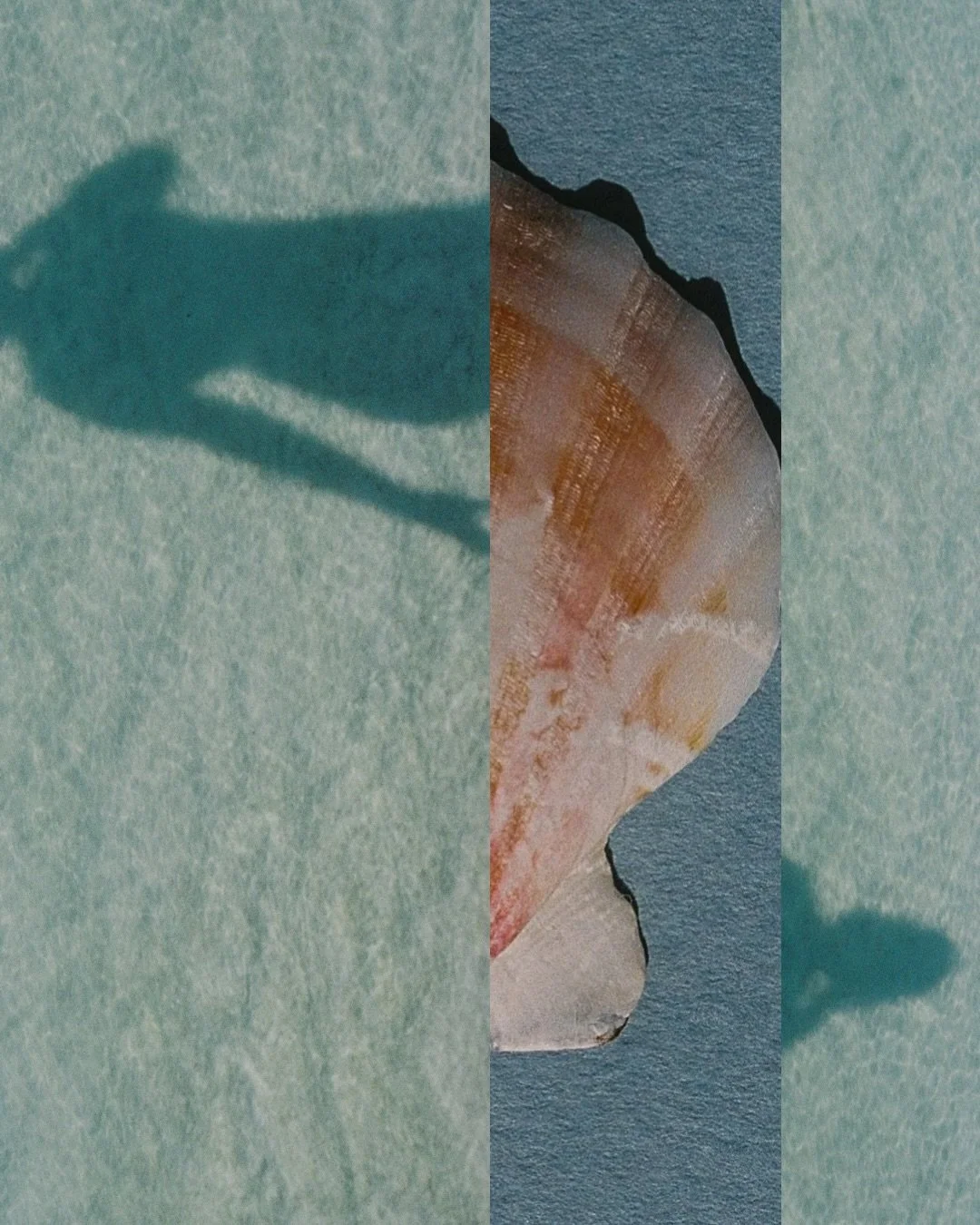 every frame is photons landing on film.

a physical trace of something that actually happened.

wild.

#30a #lovefl #artofnoticing #artofliving #35mmfilm