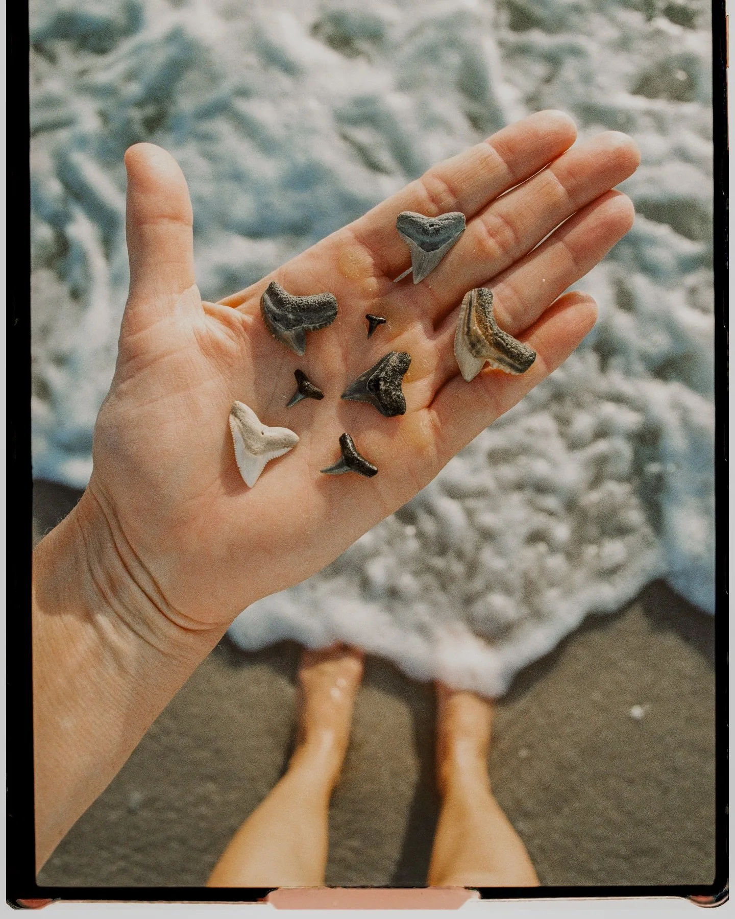 ancient things. slow content. 

#lovefl #30aphotographer #artofnoticing #naturetherapy #oceantherapy